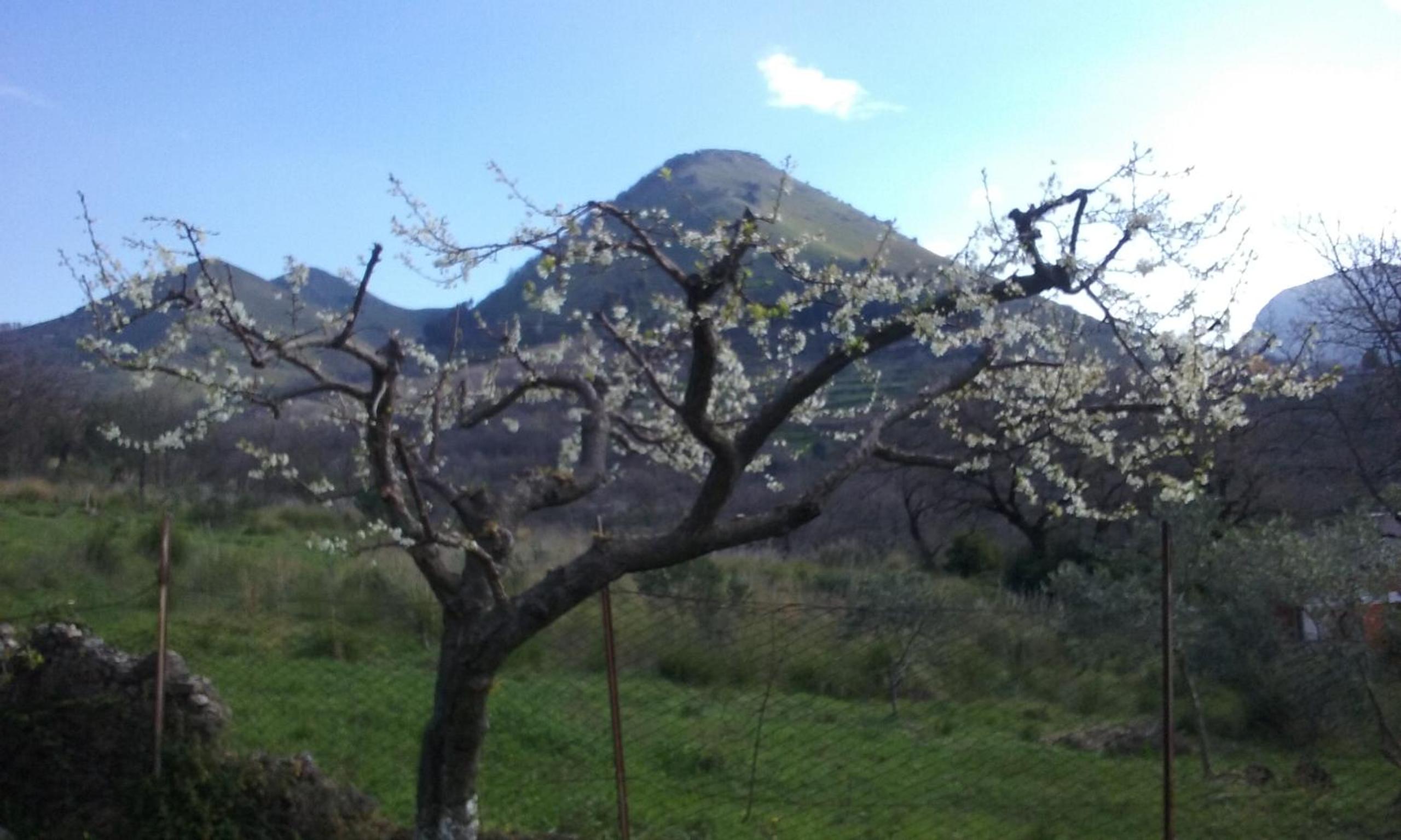 Il Giardino di Julia B&B