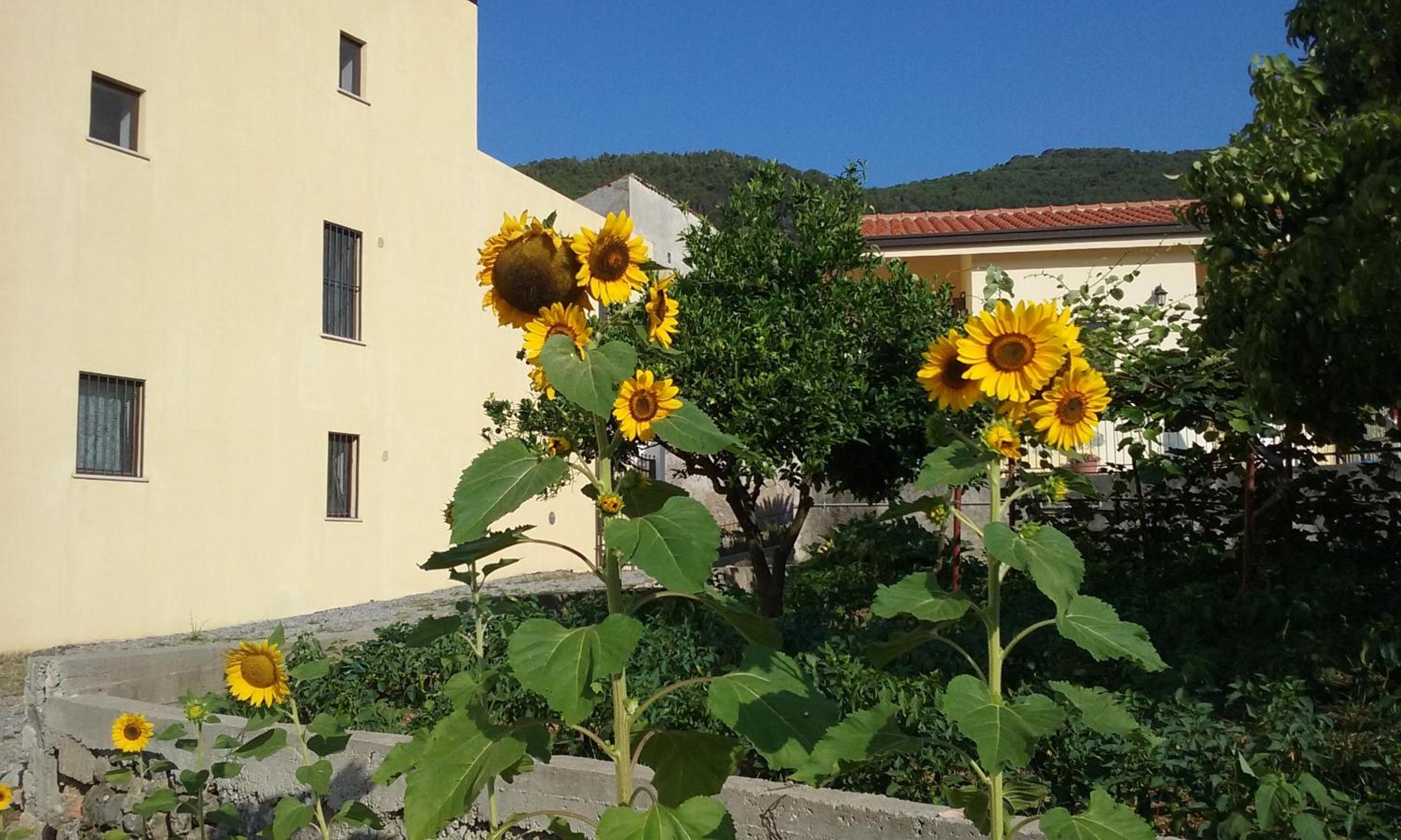 Il Giardino di Julia B&B