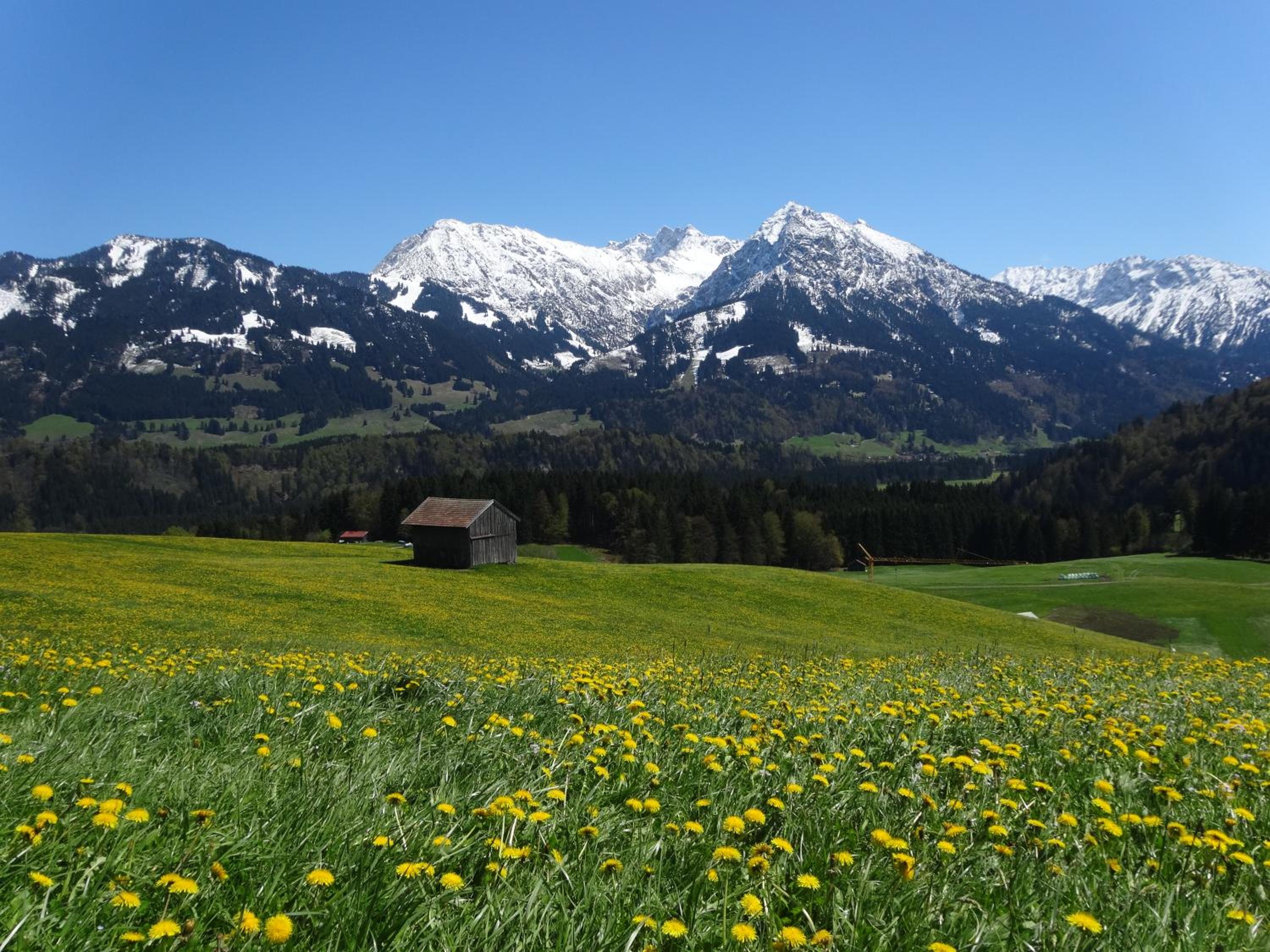 Ferienwohnungen im Färberhaus view 4
