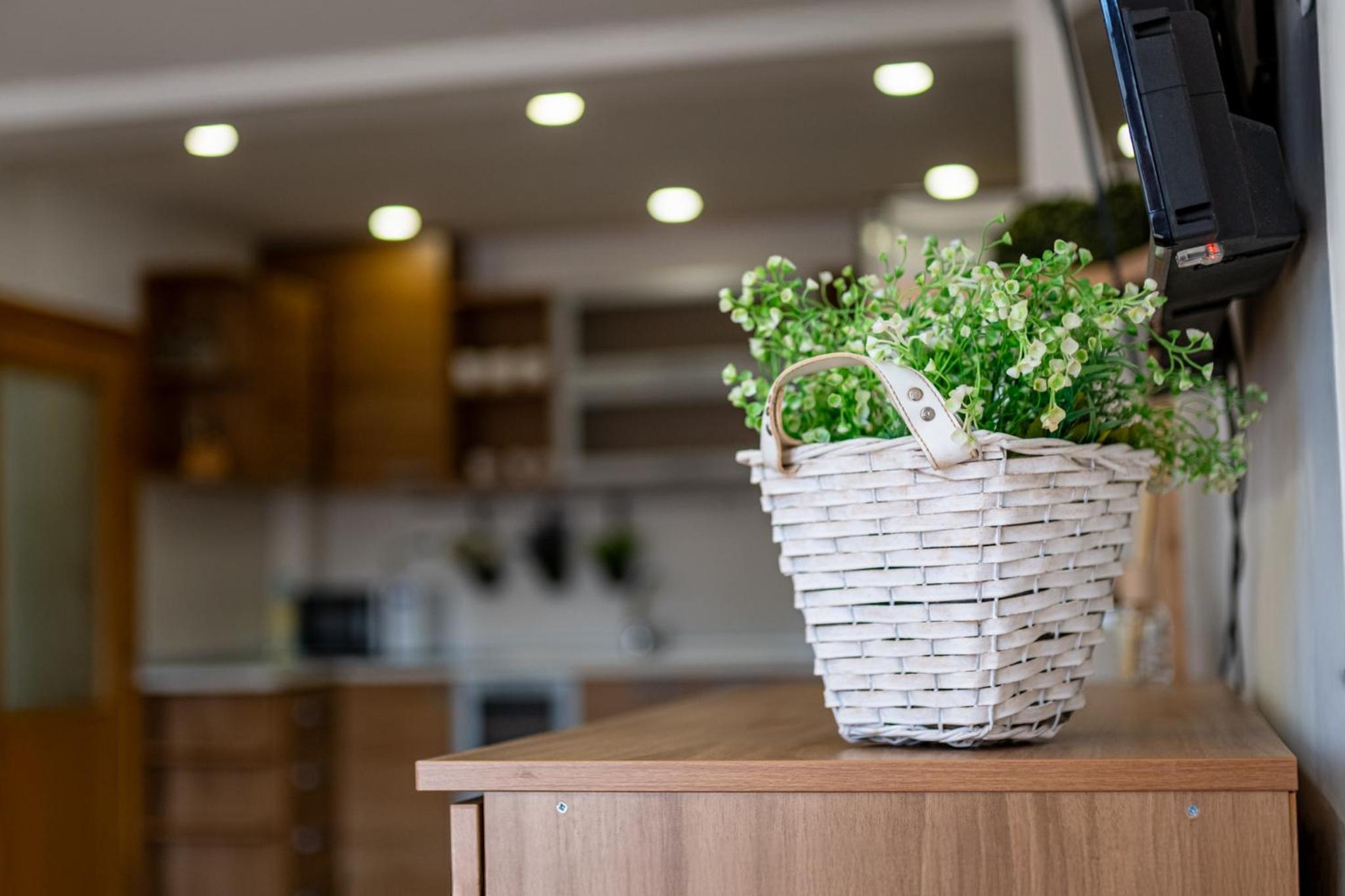 Sunny apartment in the center of Varna for 5Guests