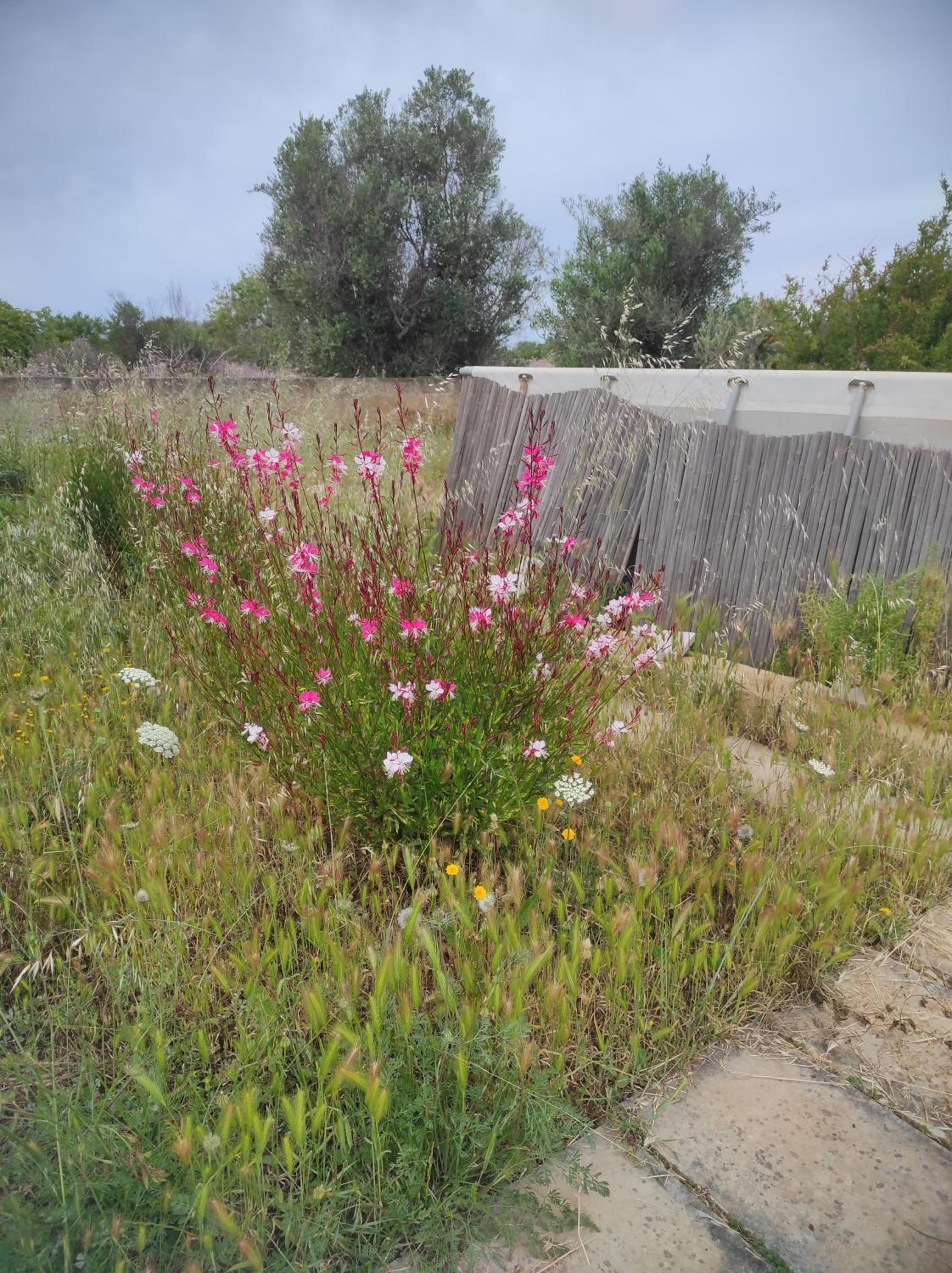 Photo 47