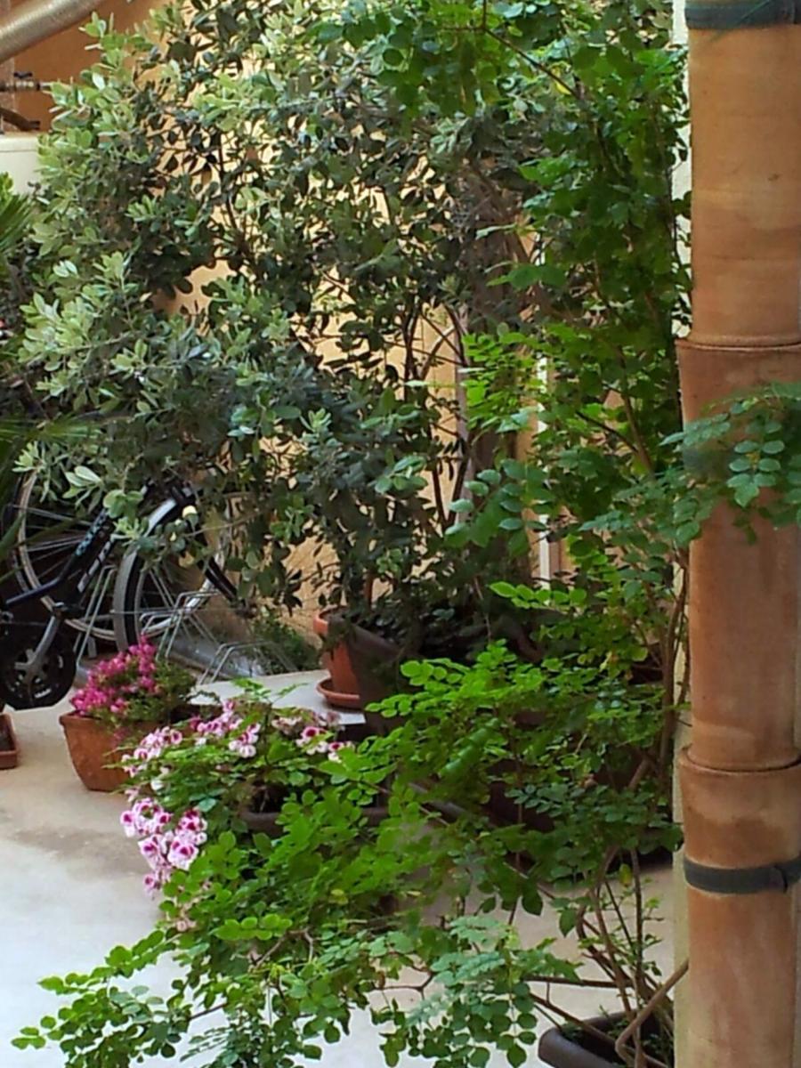 Casa Marsalia view 4