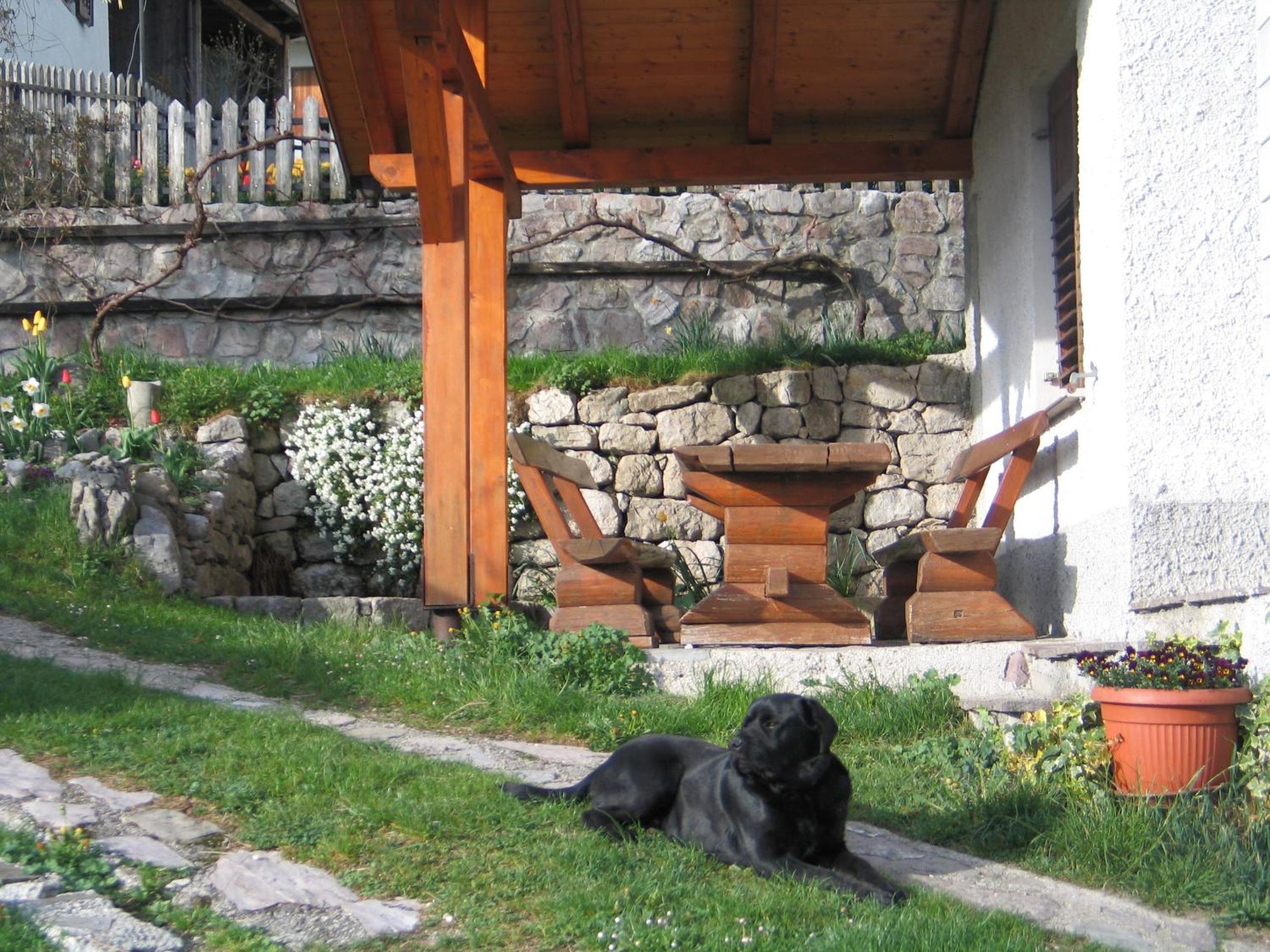Photo 27