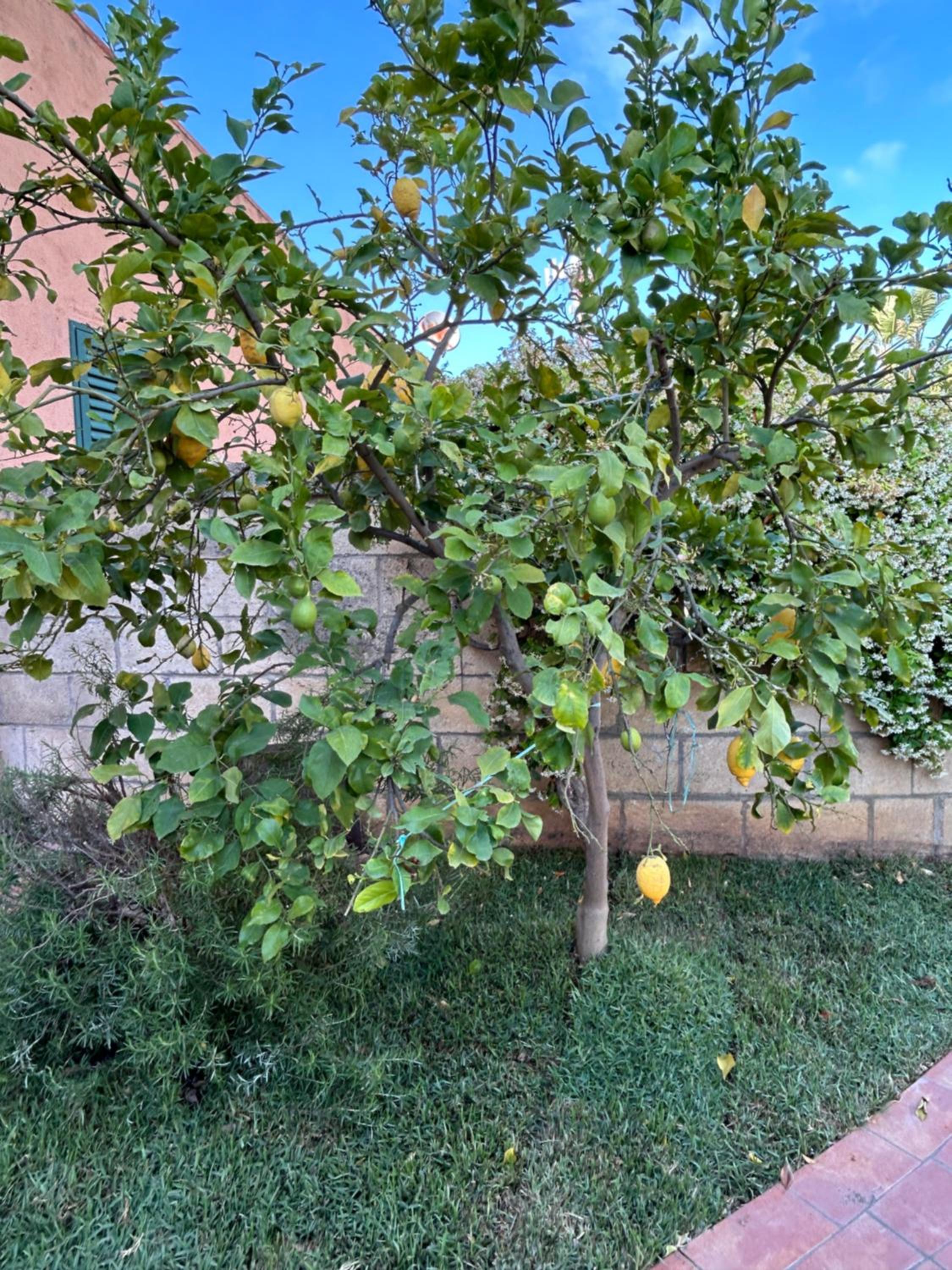 Grande appartamento in casale ristrutturato