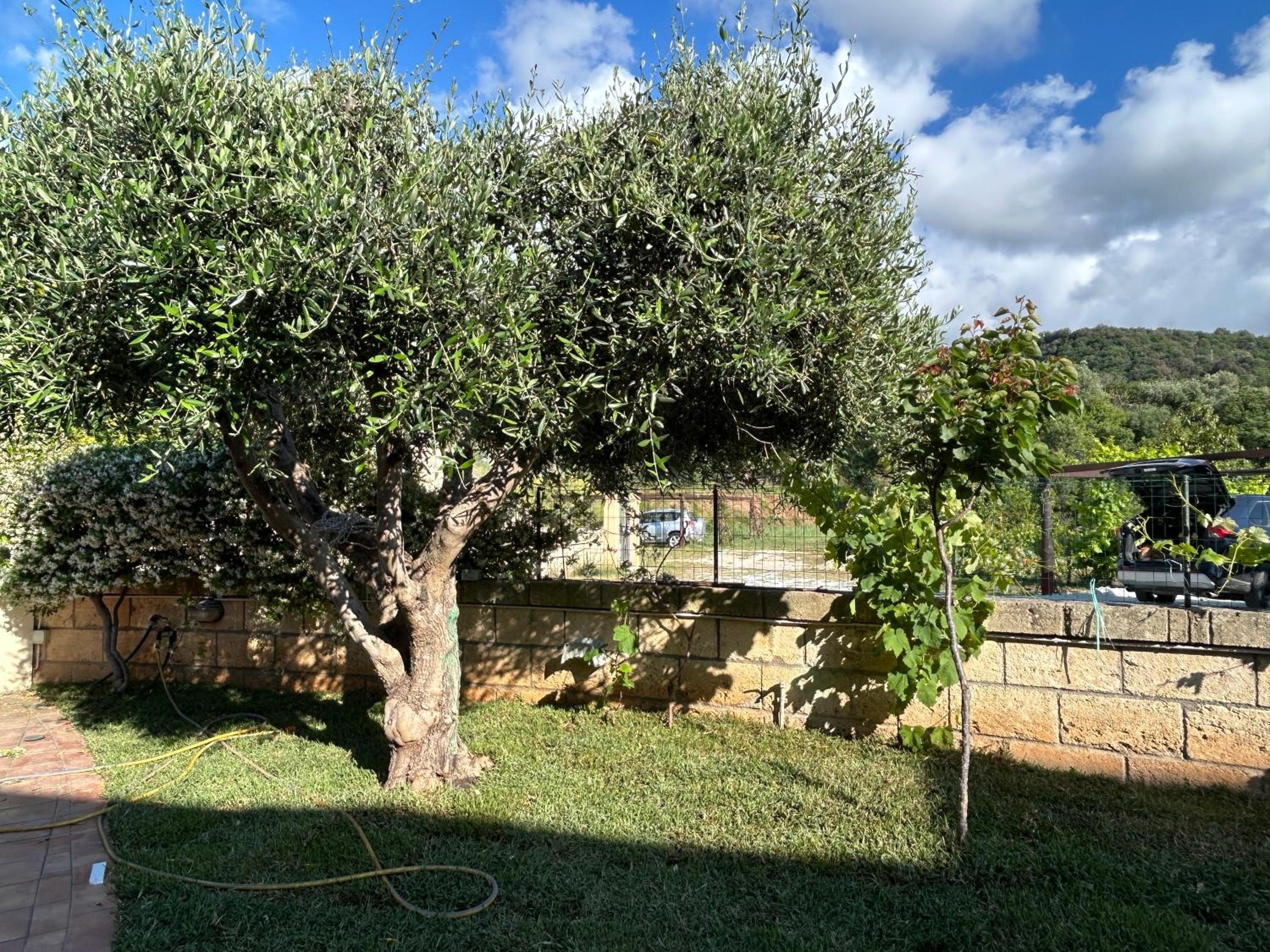 Grande appartamento in casale ristrutturato
