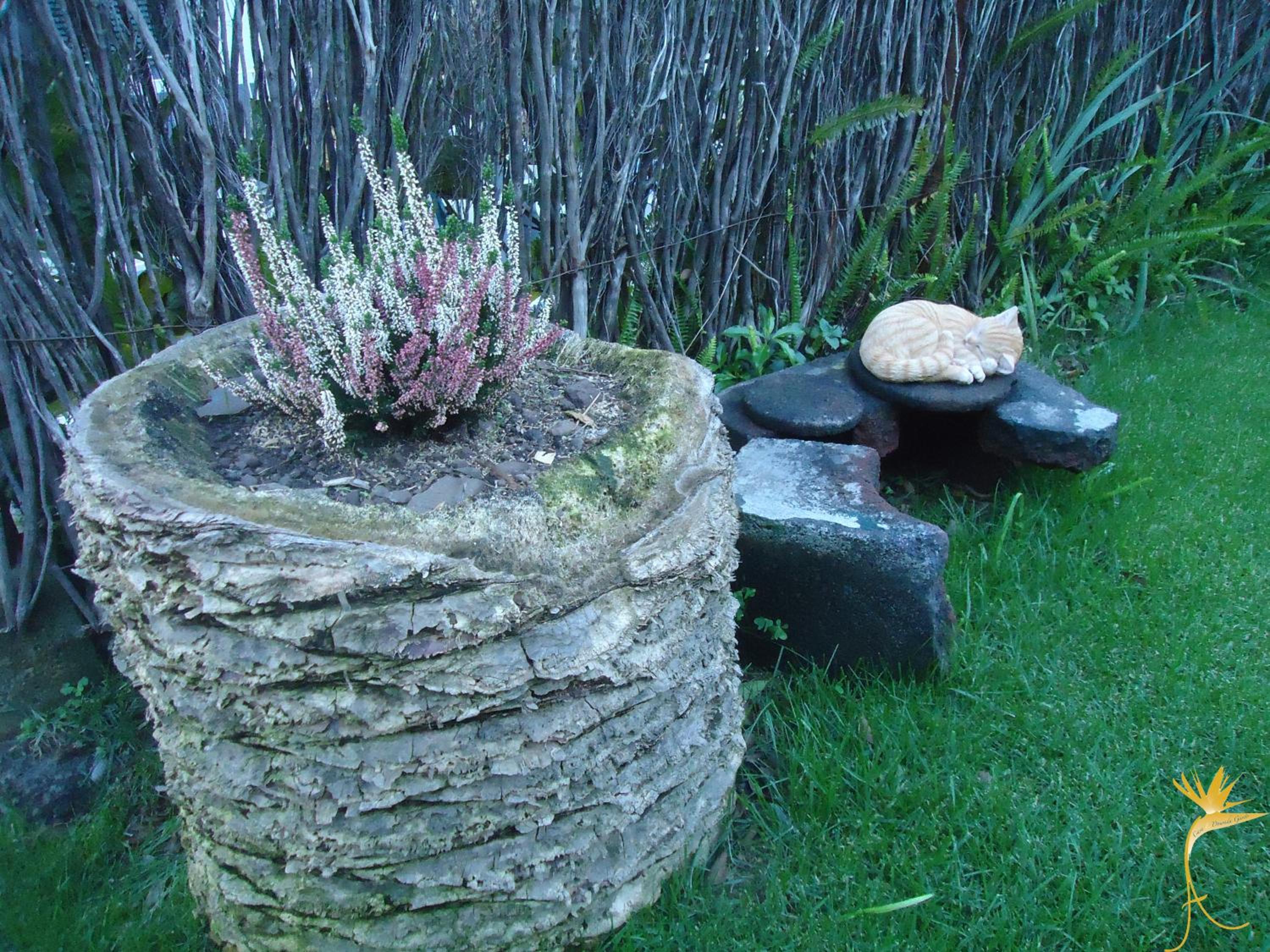 Photo 36