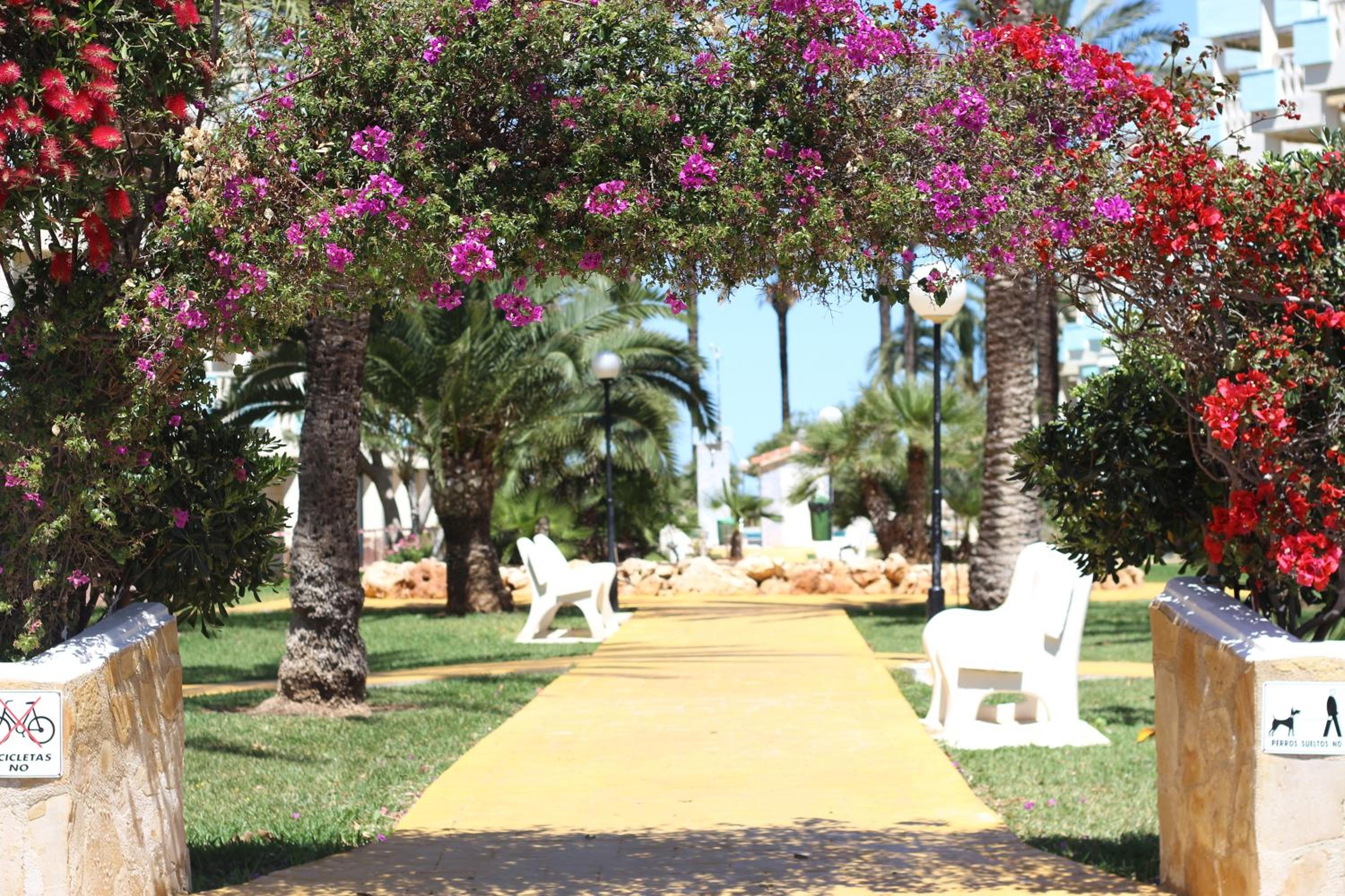 Apartamentos Óliver Playa