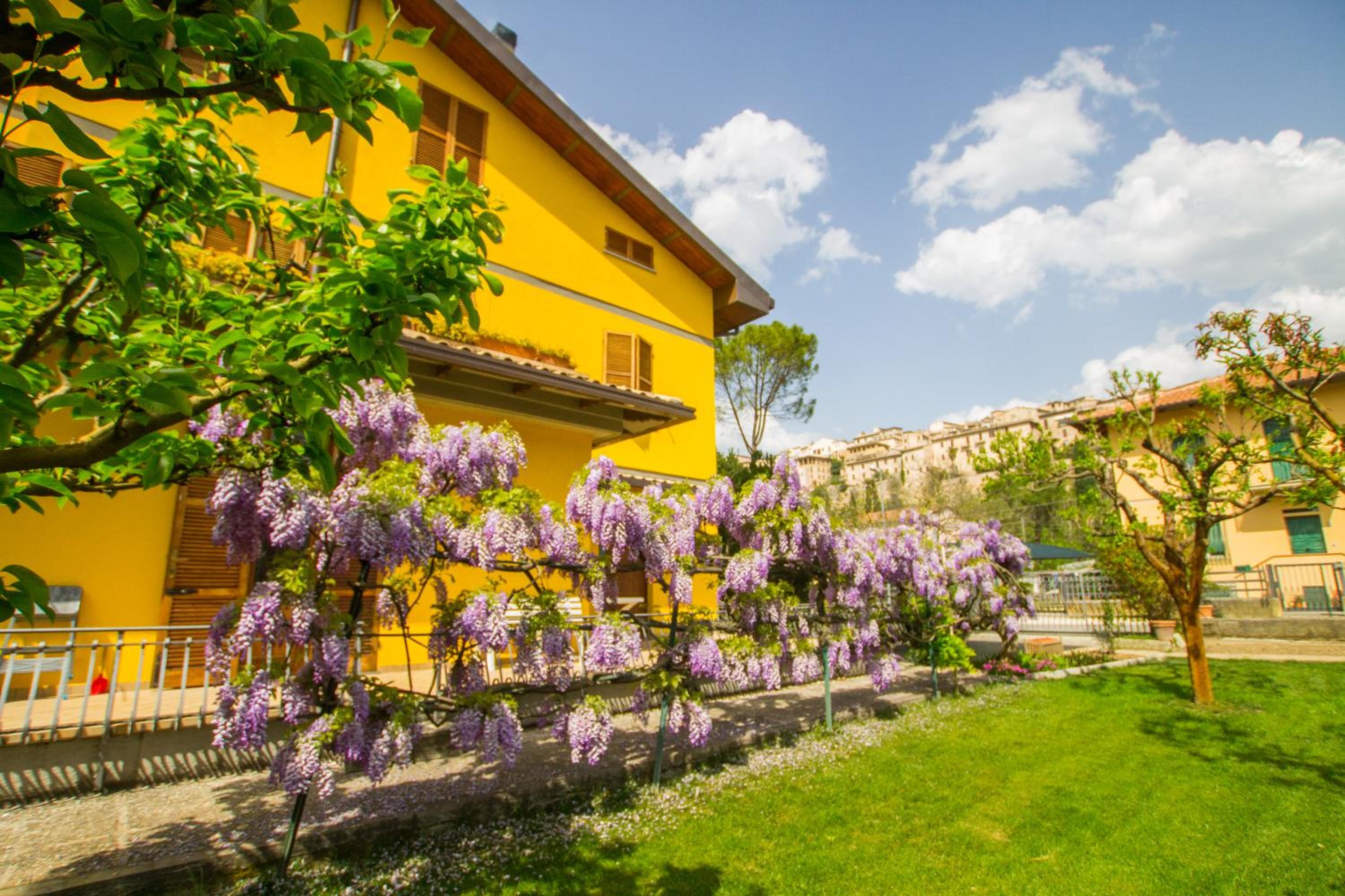 B&B I Narcisi view 3