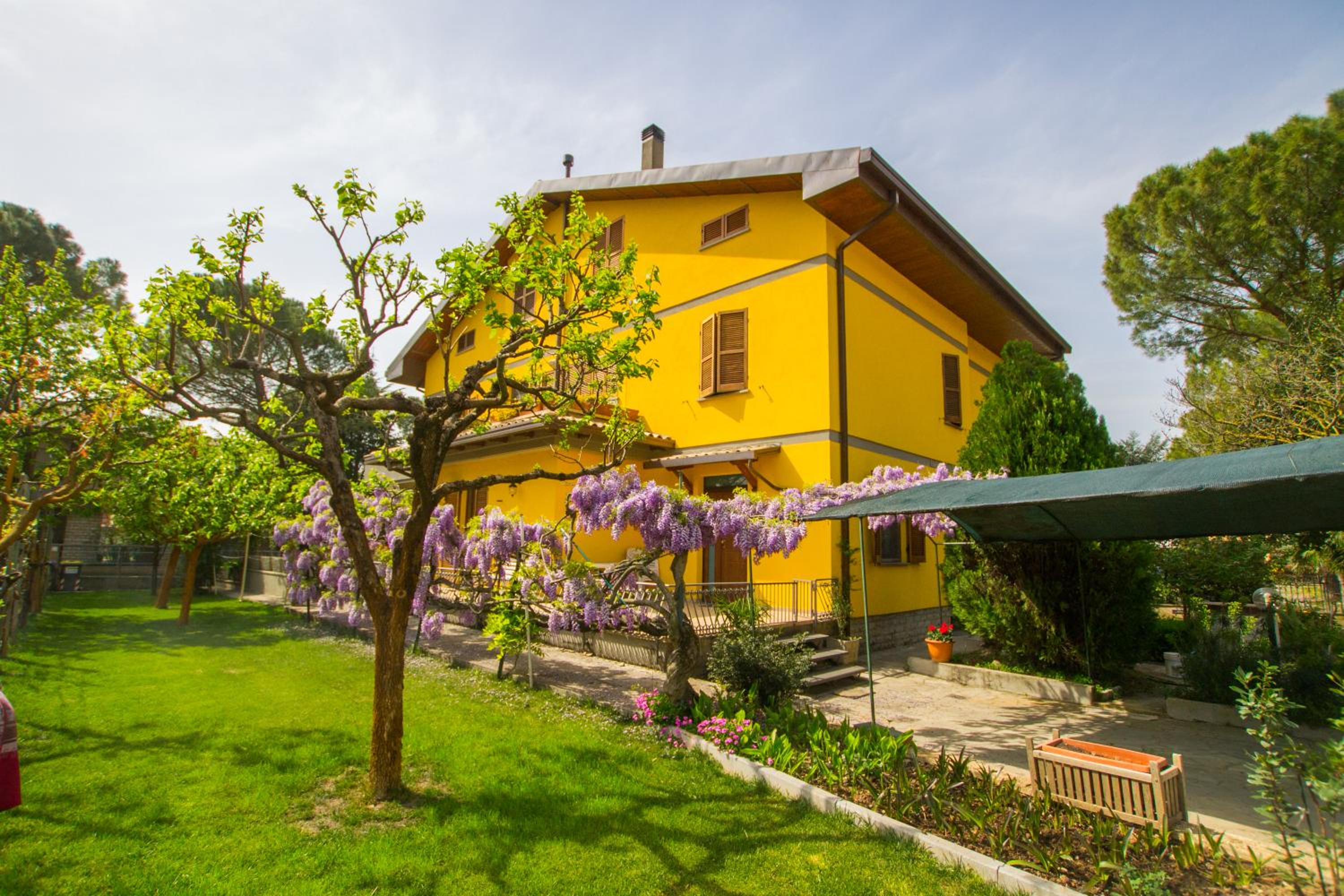 B&B I Narcisi view 2