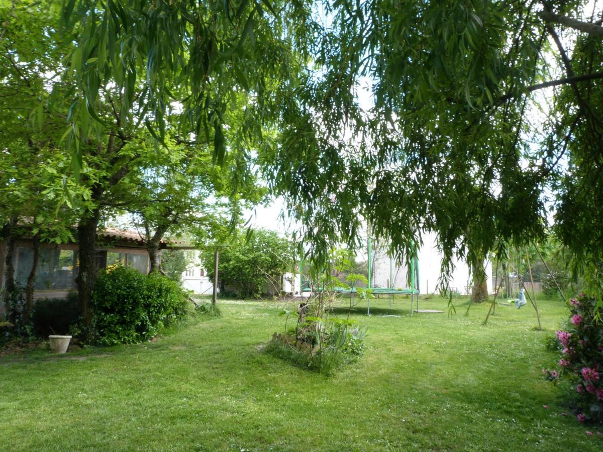 Photo 48