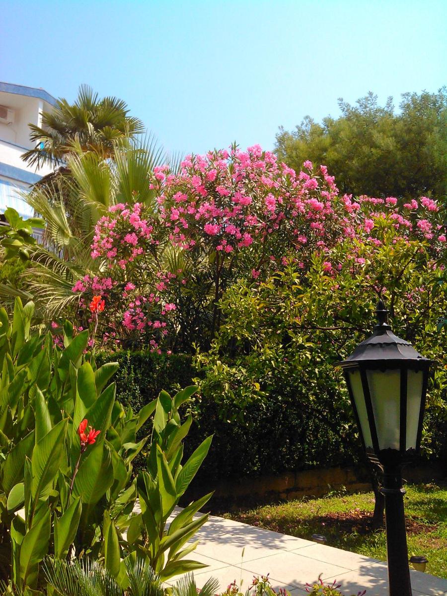 Photo 27