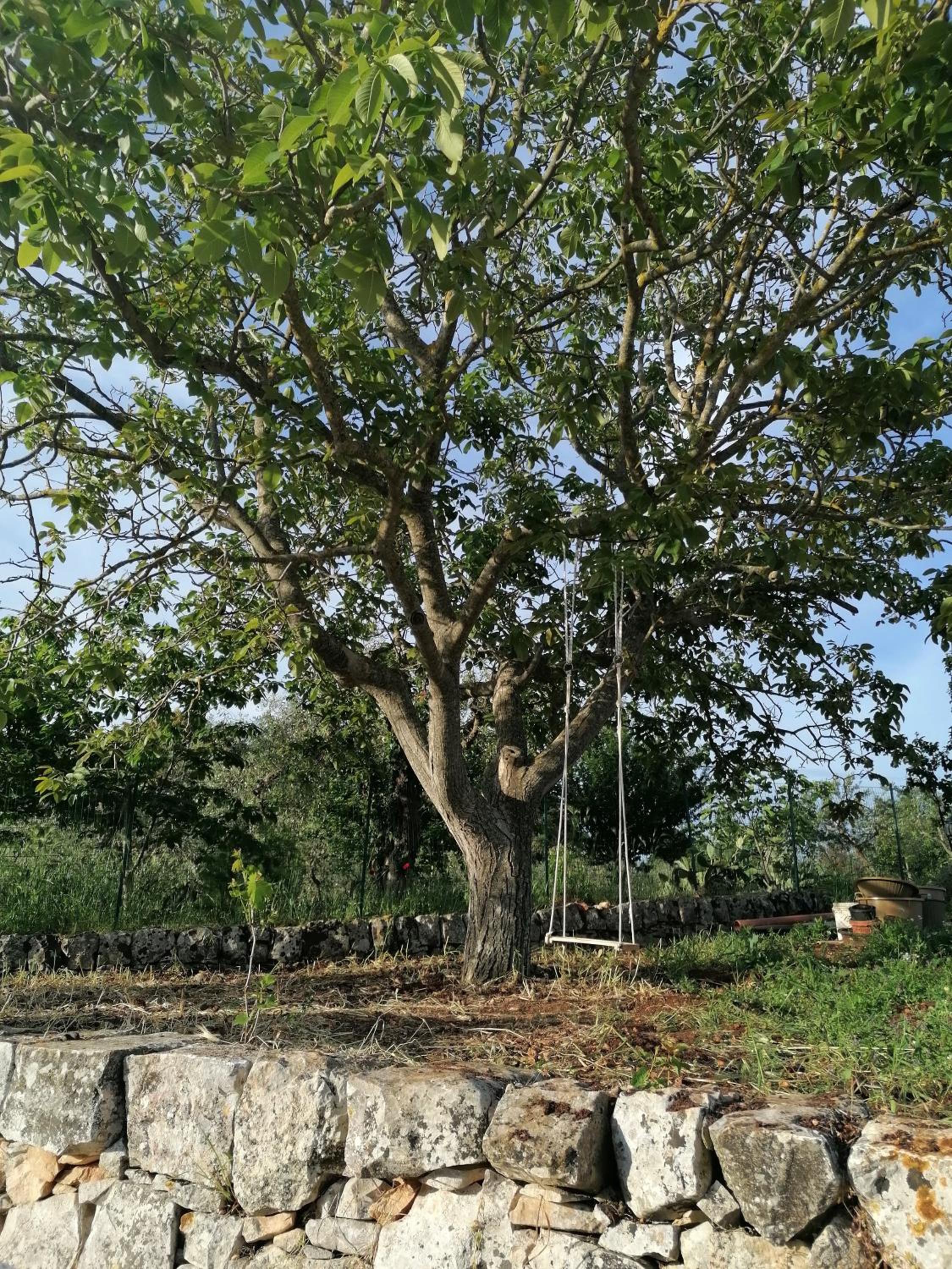 Antichi Saperi - Villa con piscina Cisternino