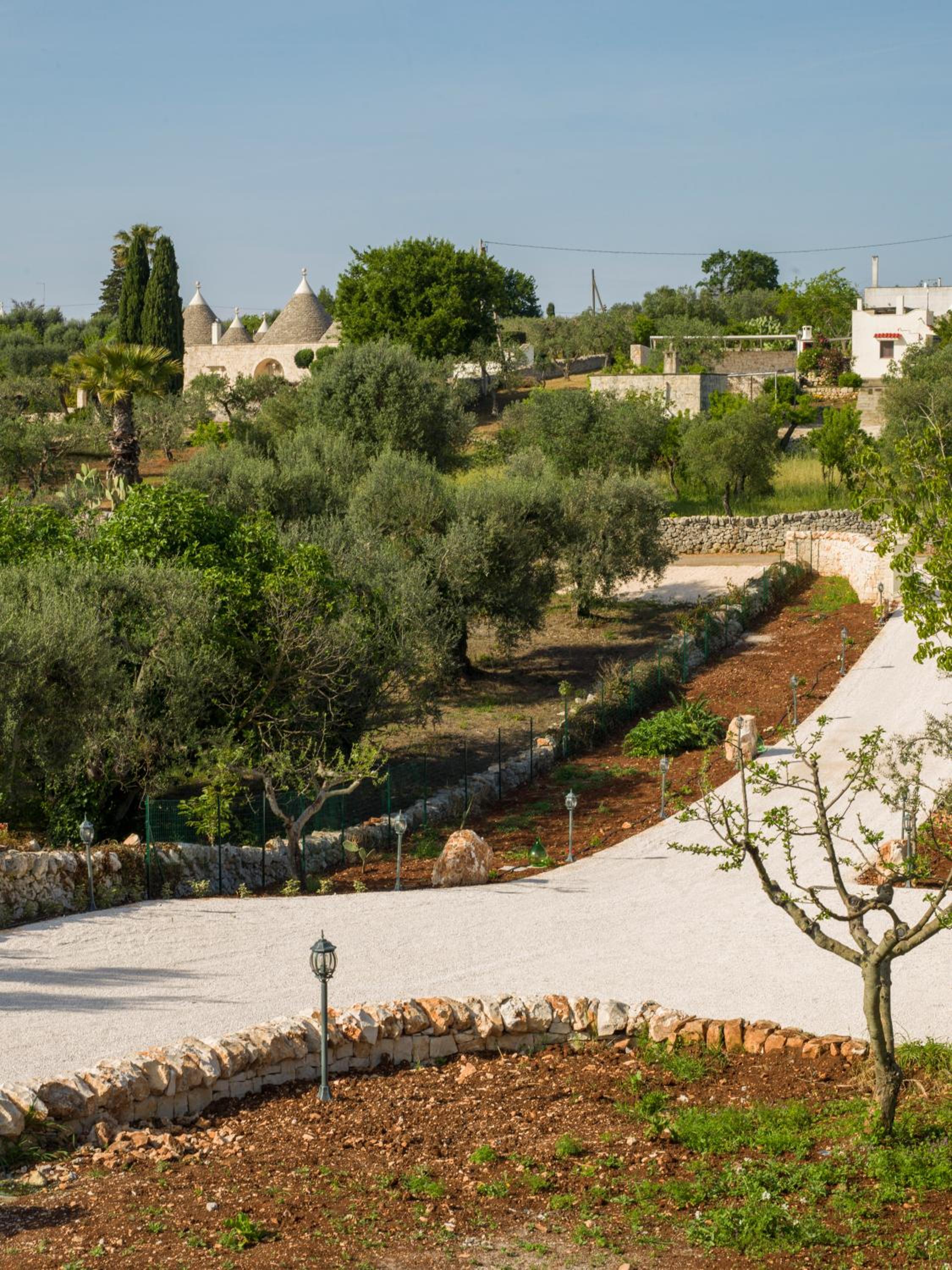 Antichi Saperi - Villa con piscina Cisternino