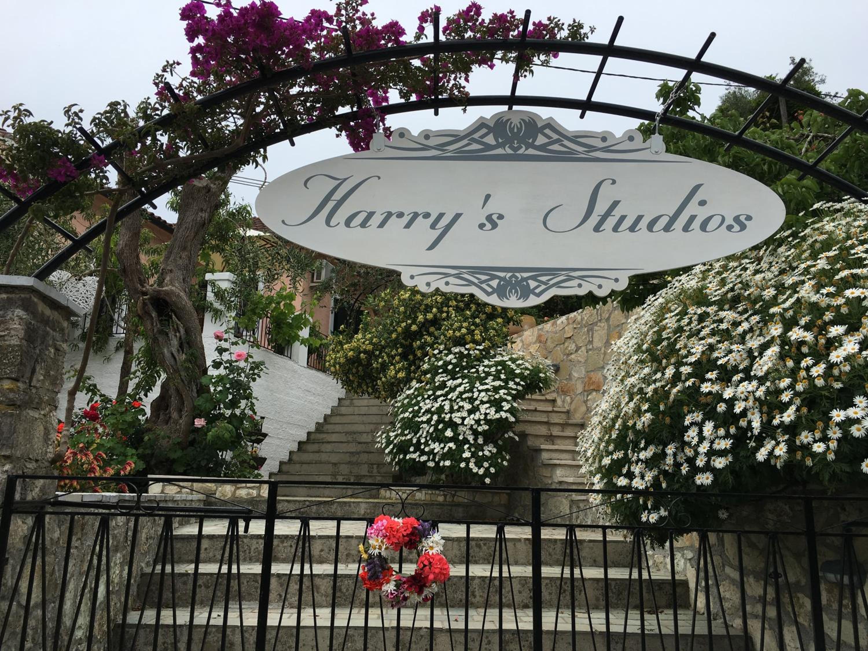 Harry's Studios