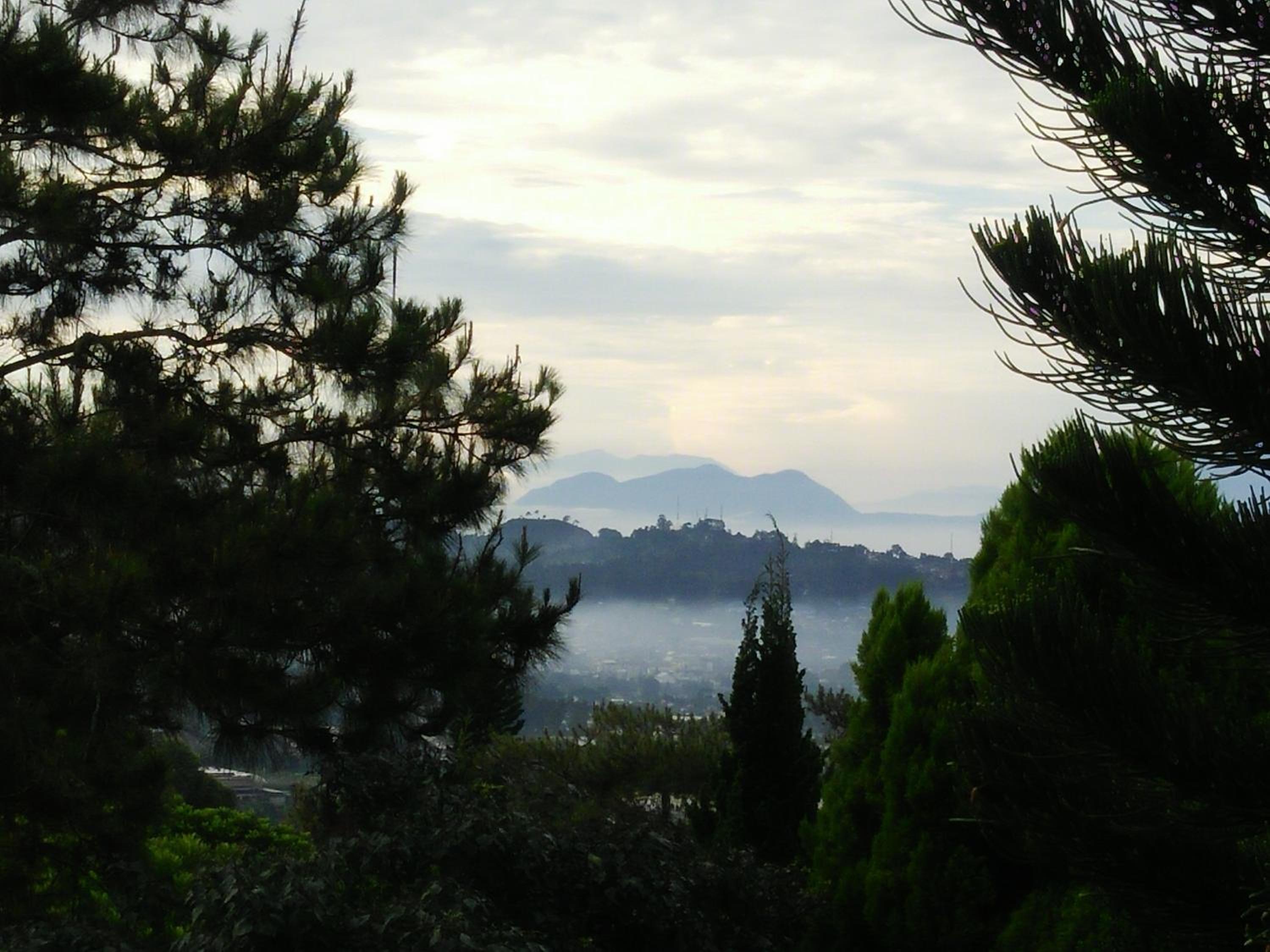 Photo 40