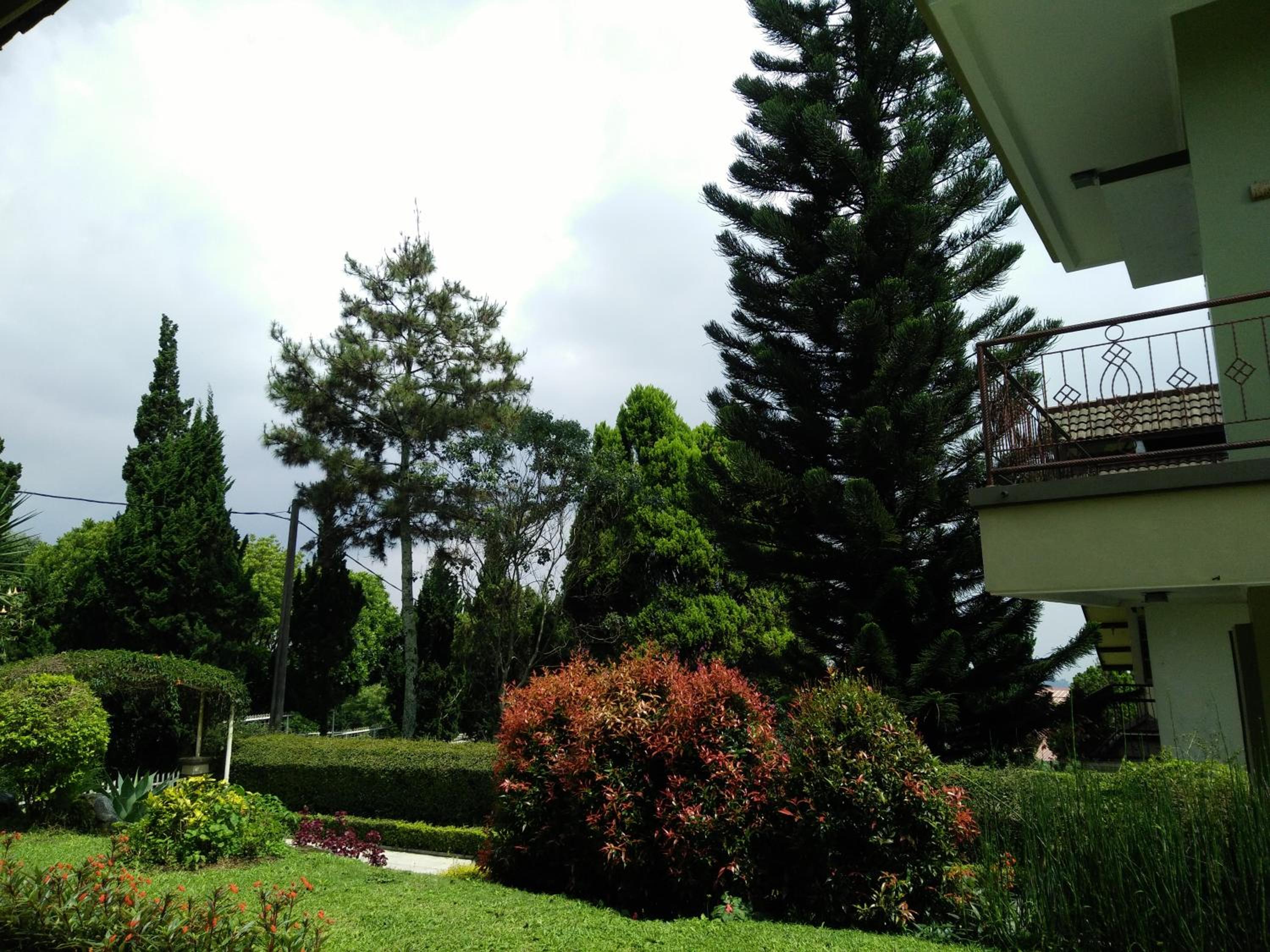 Photo 35