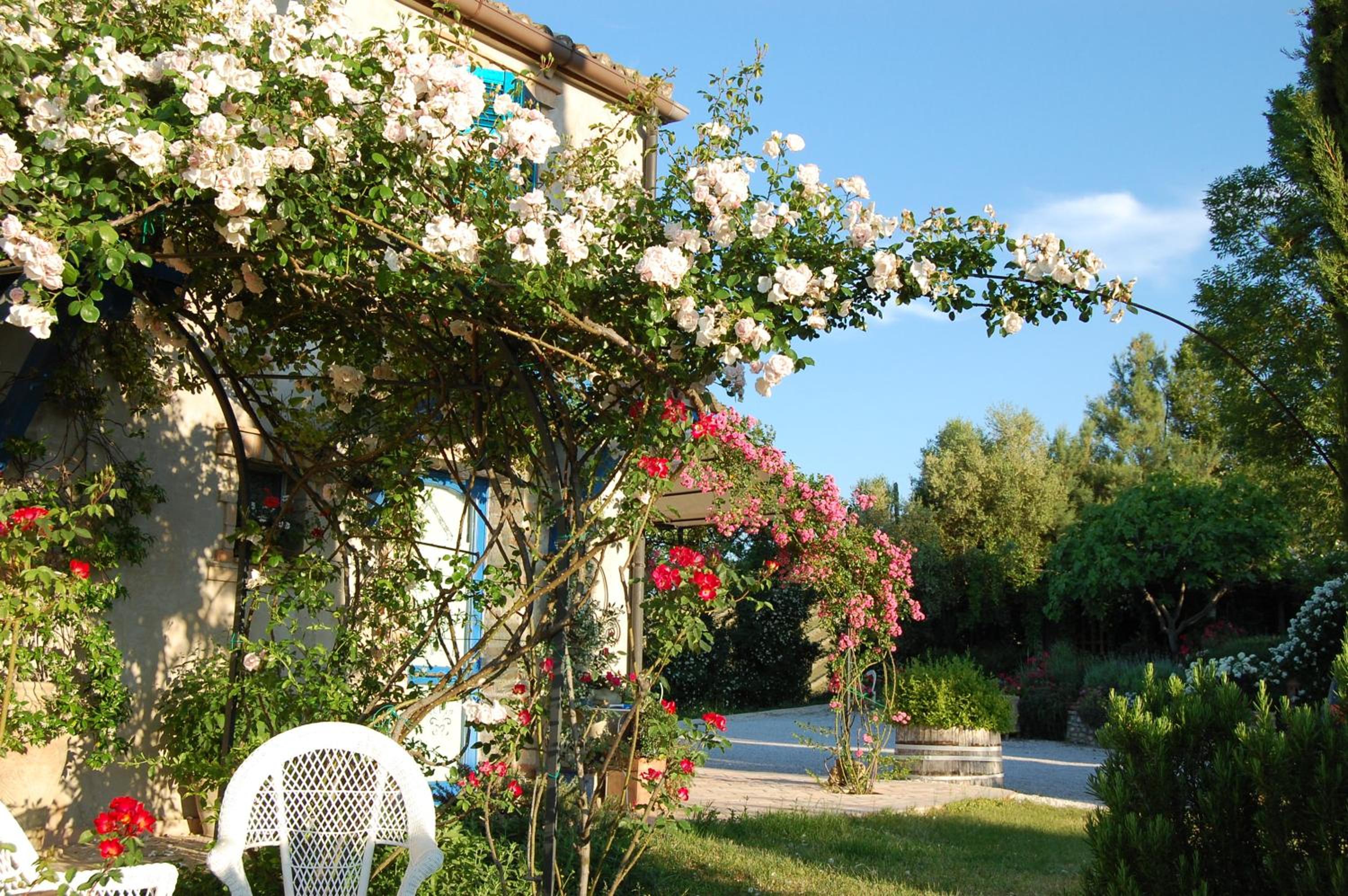 B&B Vento di Rose