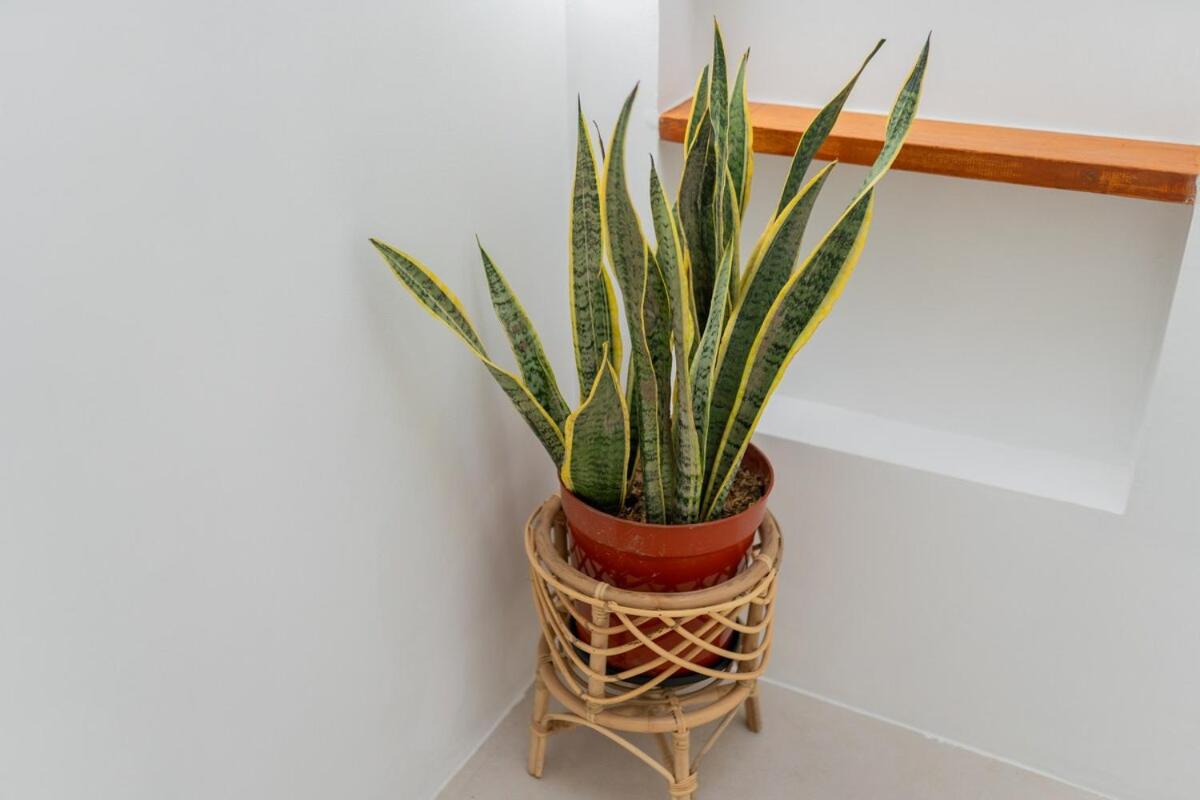 NEW! Villa Troy - 1BR Villa in Kerobokan