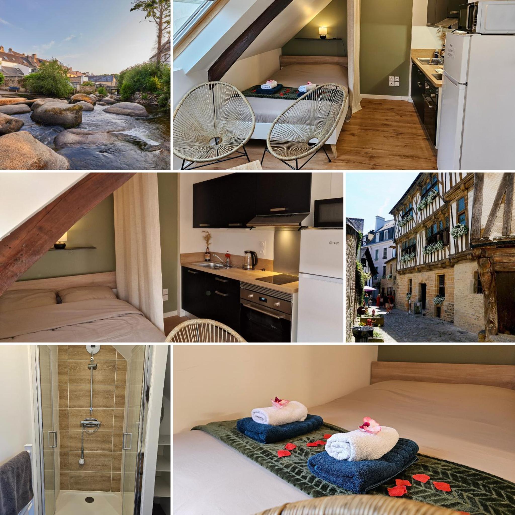 Logement de caractère en haute ville de Quimperlé, photo 28