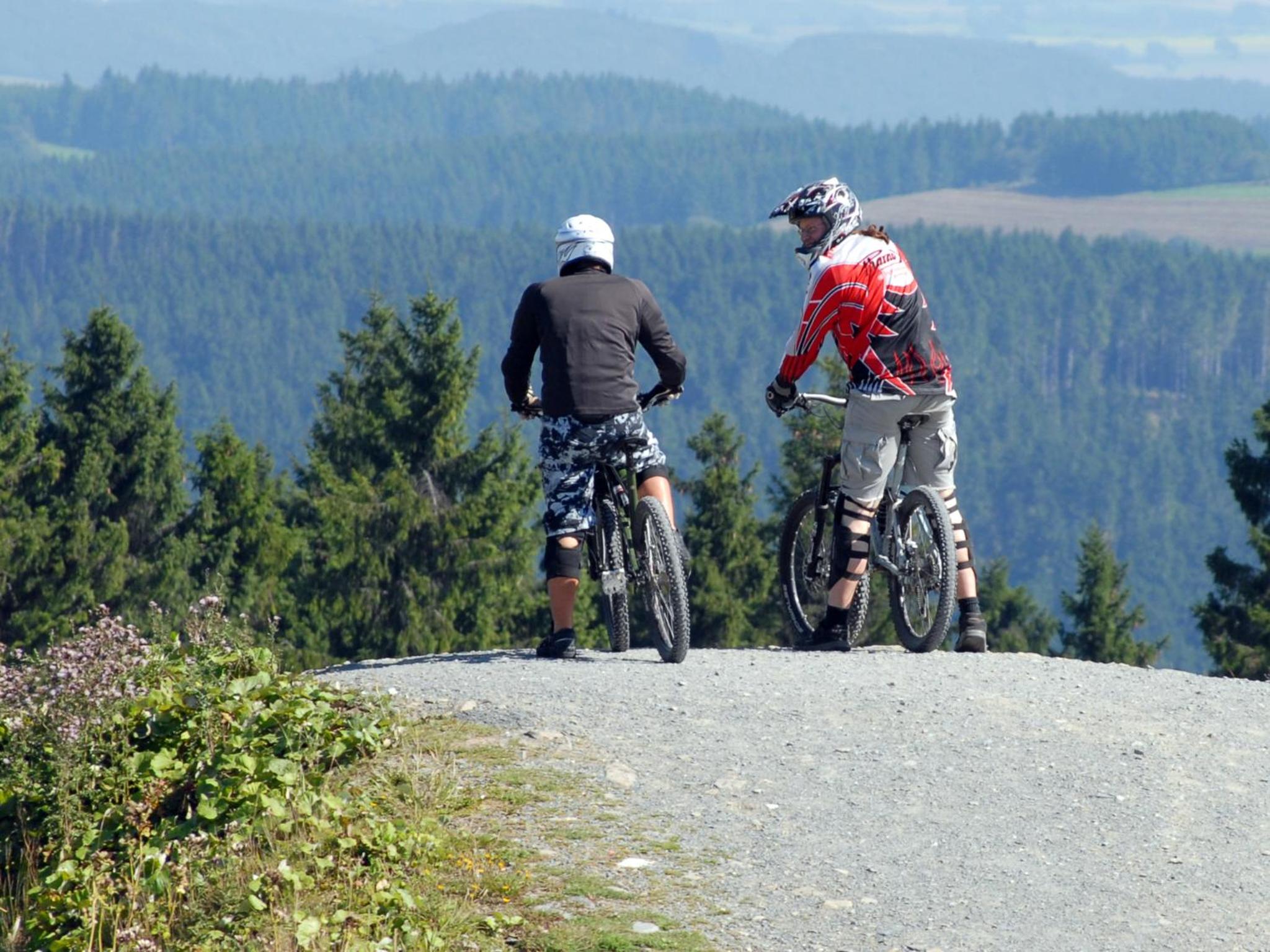 Ferienwohnung Ortsmitte-Willingen
