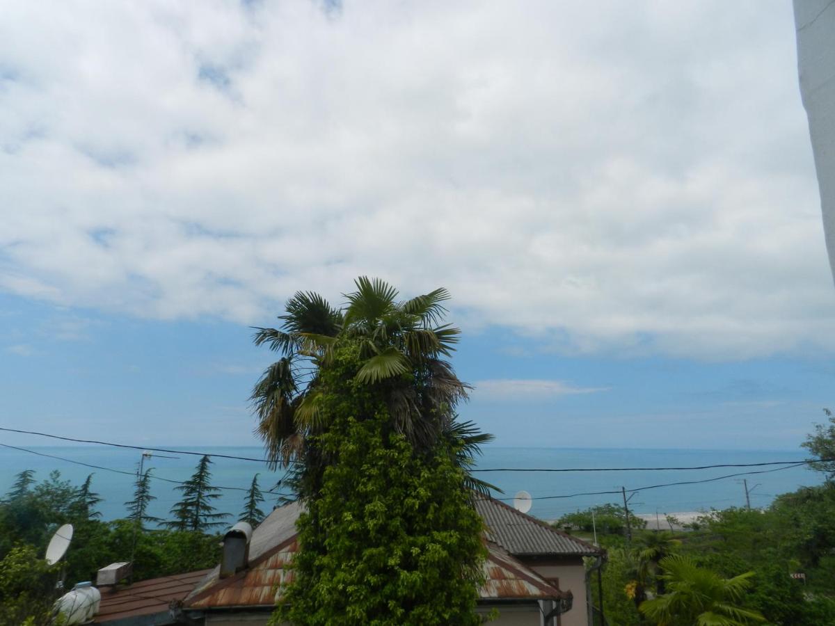 Jintcharadze Inn view 5