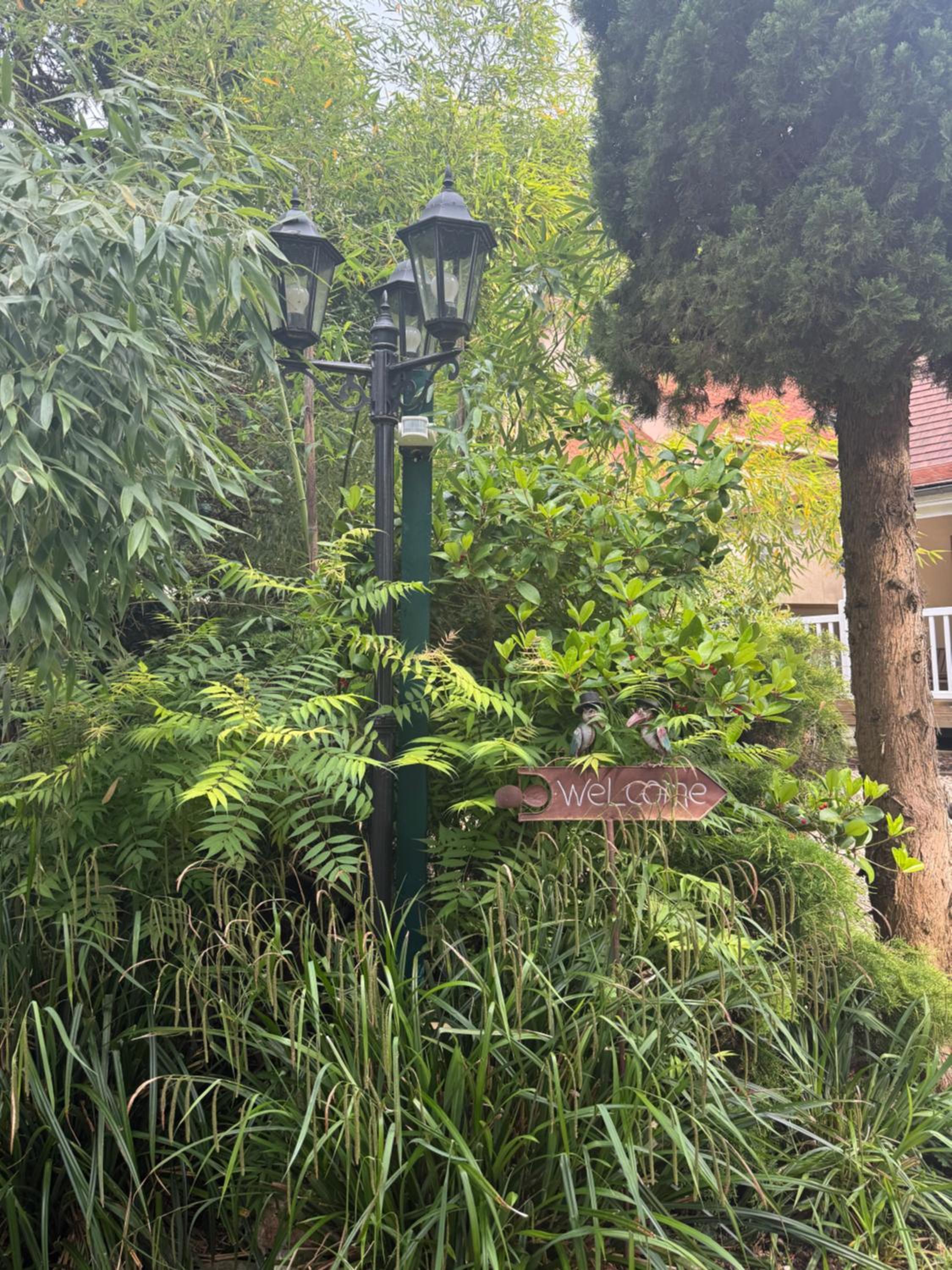 Disneyland Paris house for 6 people