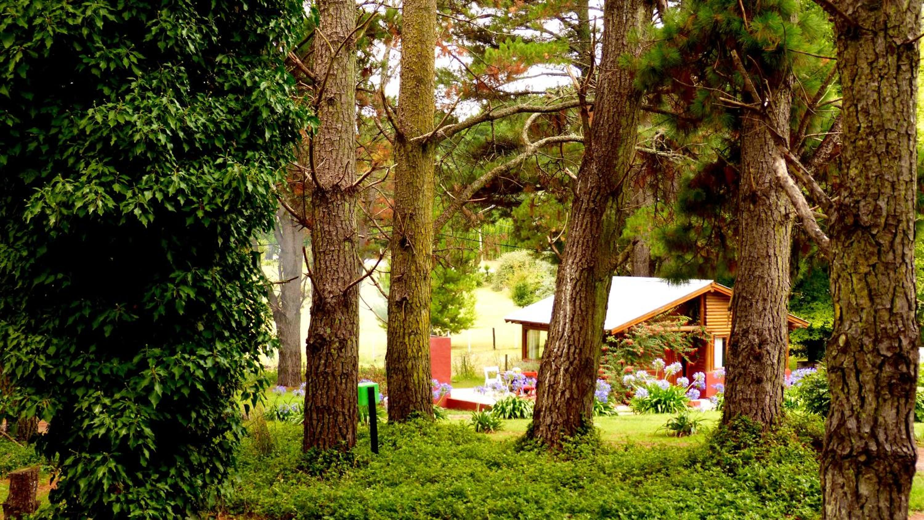 Posada del Viento