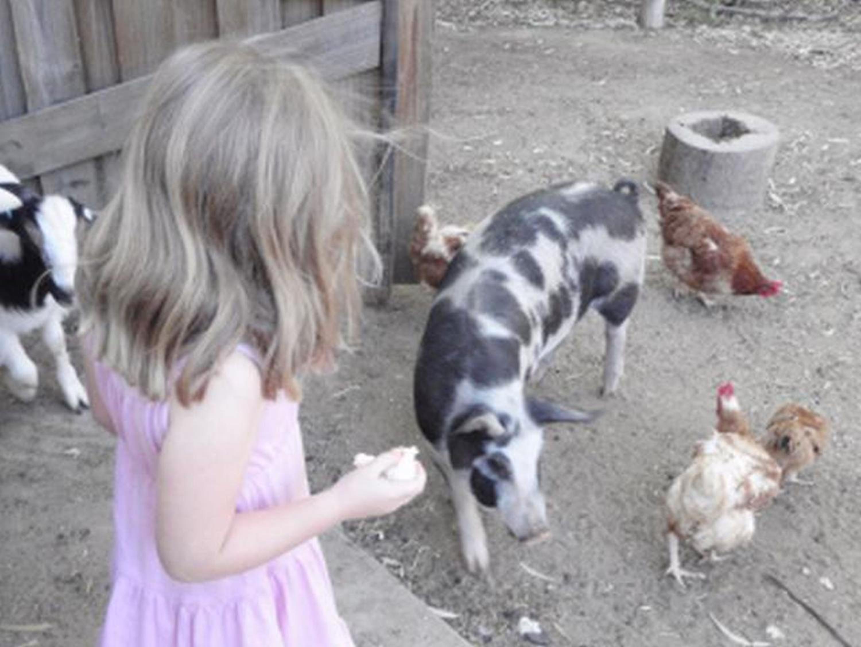 Tasman Holiday Parks - Moama on the Murray