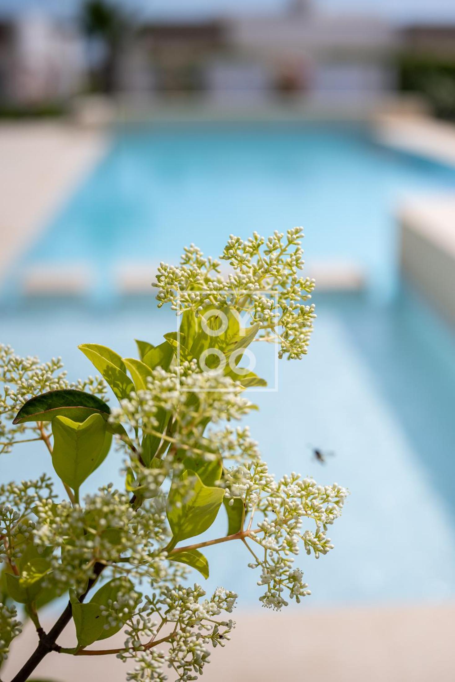 Flamenco Garden, GF design apt, heated pool, at Golf Resort - By Oyoostays