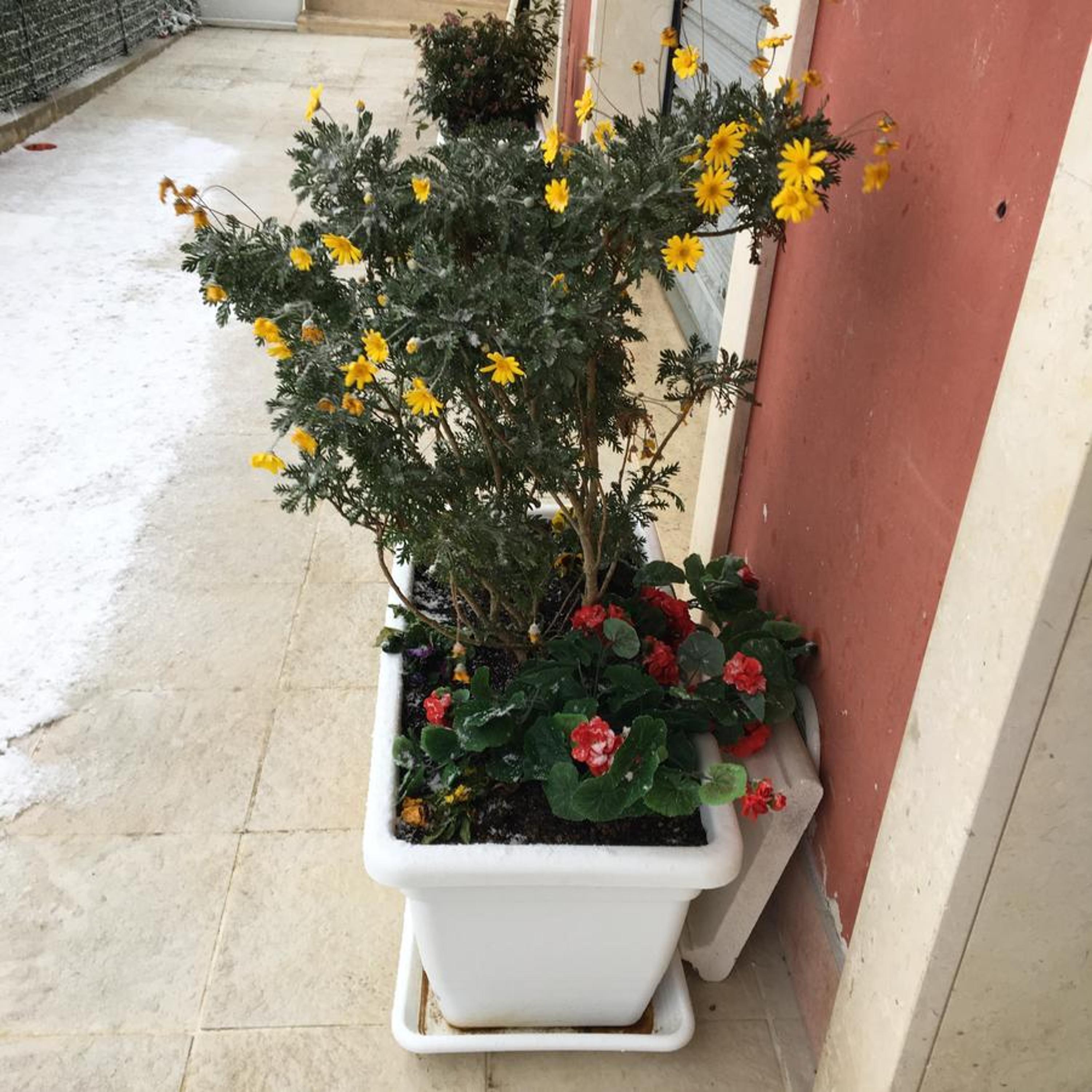 amaranto bnb