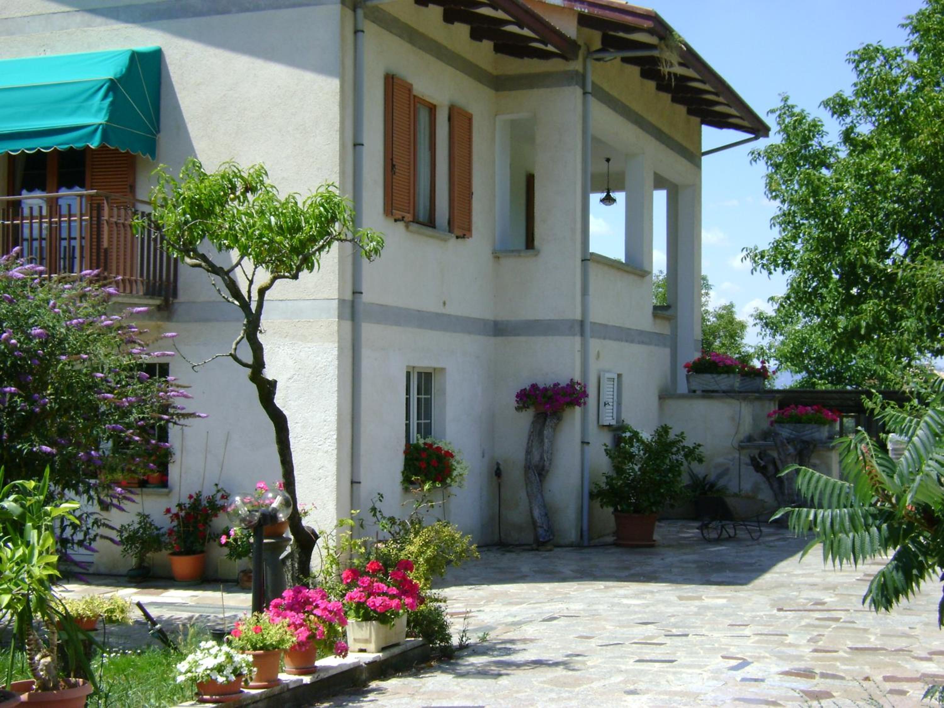 Photo 12