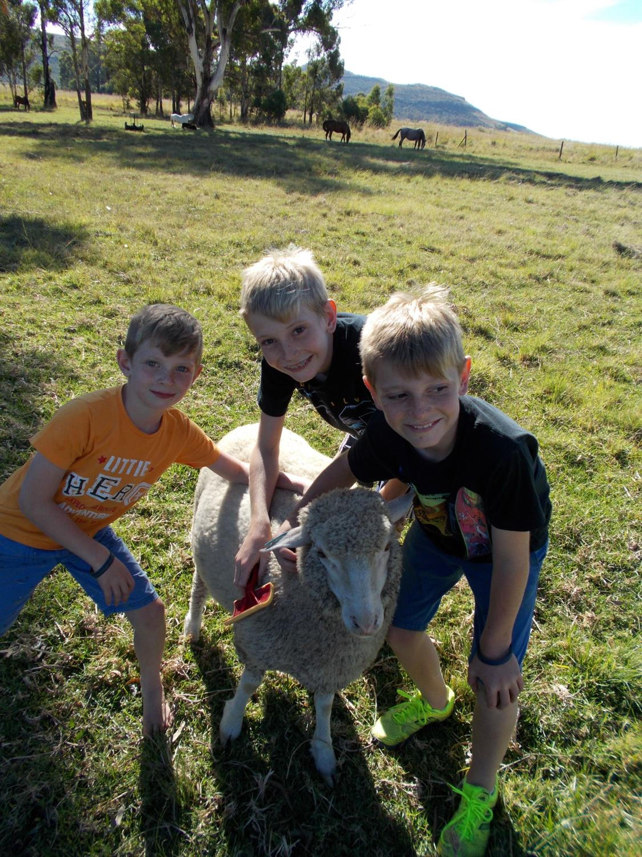Forellenhof Guest Farm