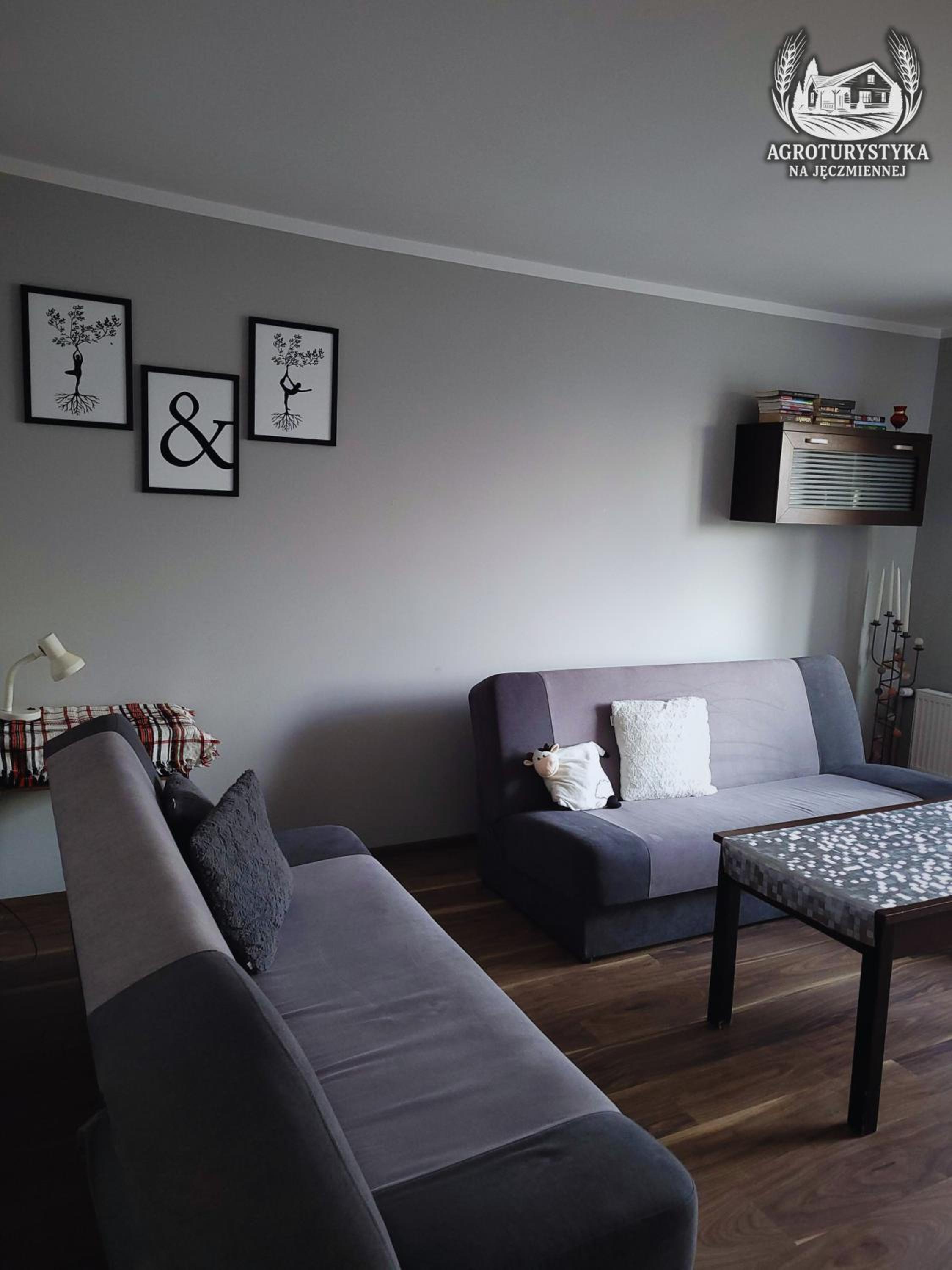 Agroturystyka na Jęczmiennej - całe mieszkanie, 2 tarasy, photo 11