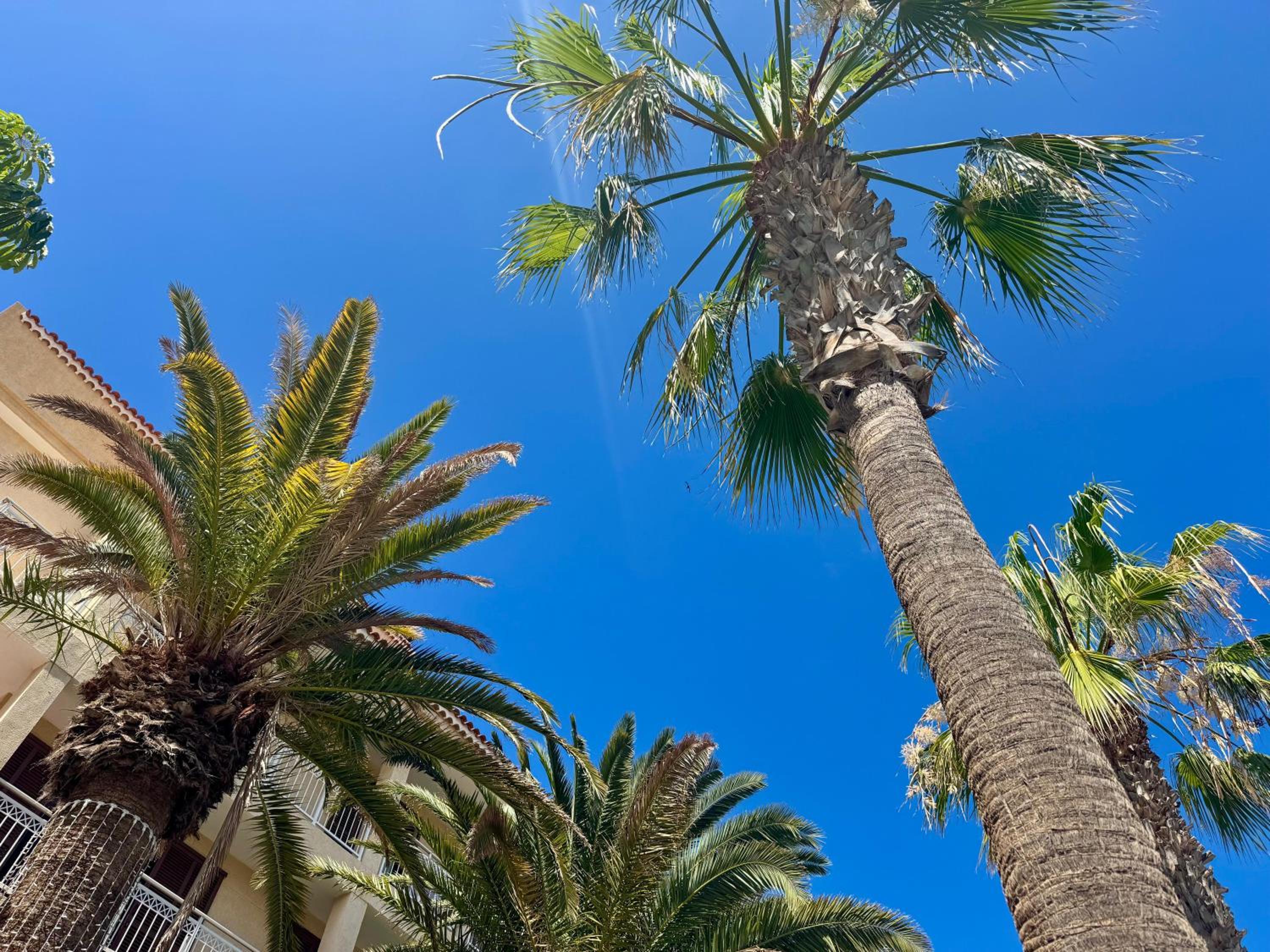 Golden Mile Getaway - Las Americas Tenerife