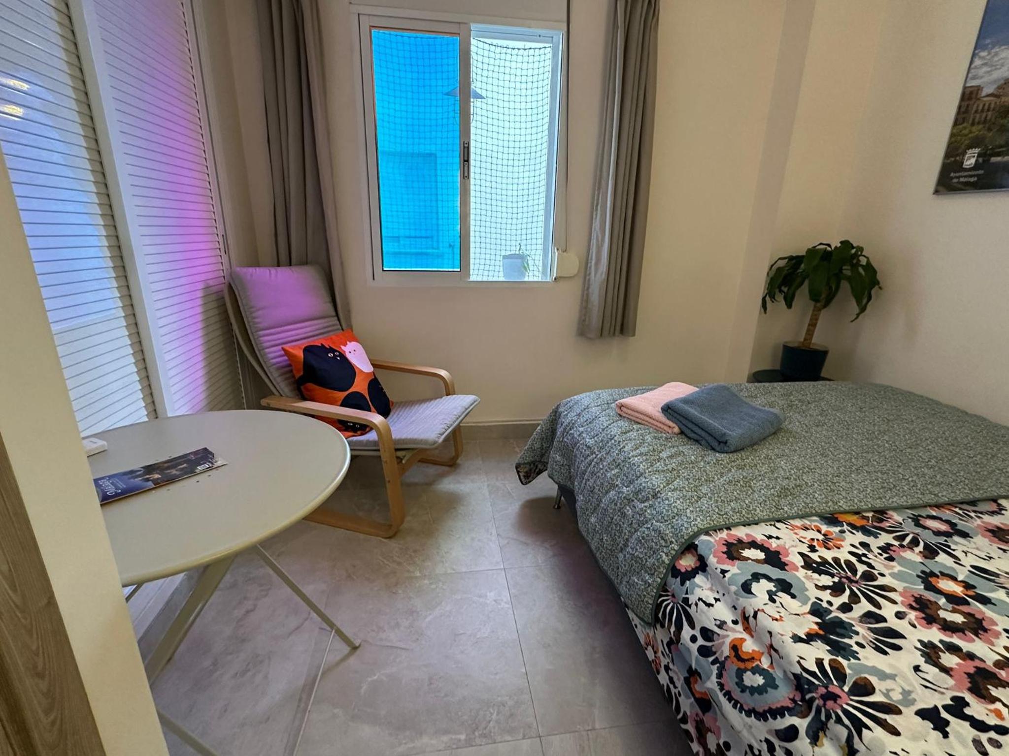 Peaceful Little Bedroom - Shared home with 3 cats