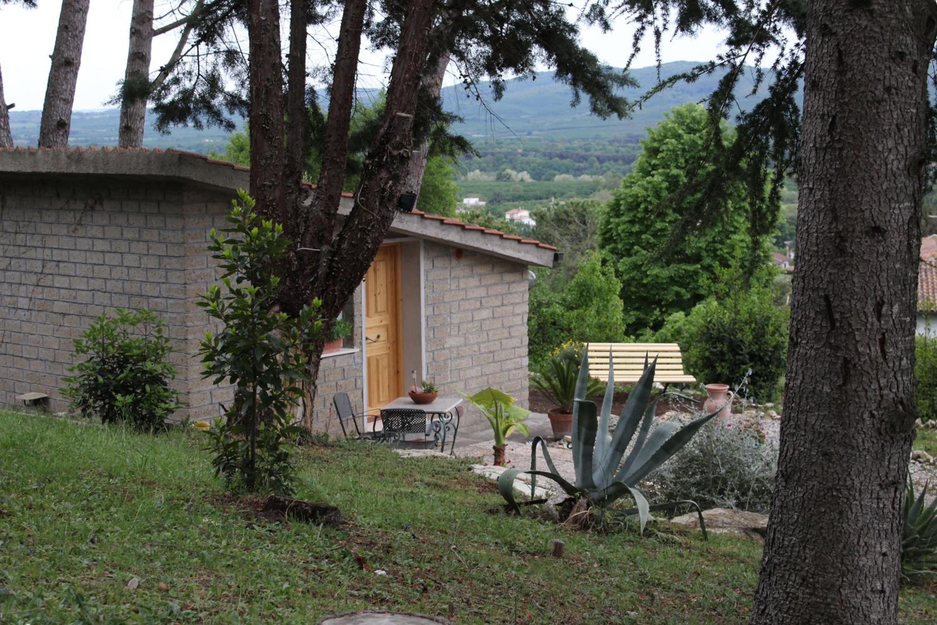 Photo 9