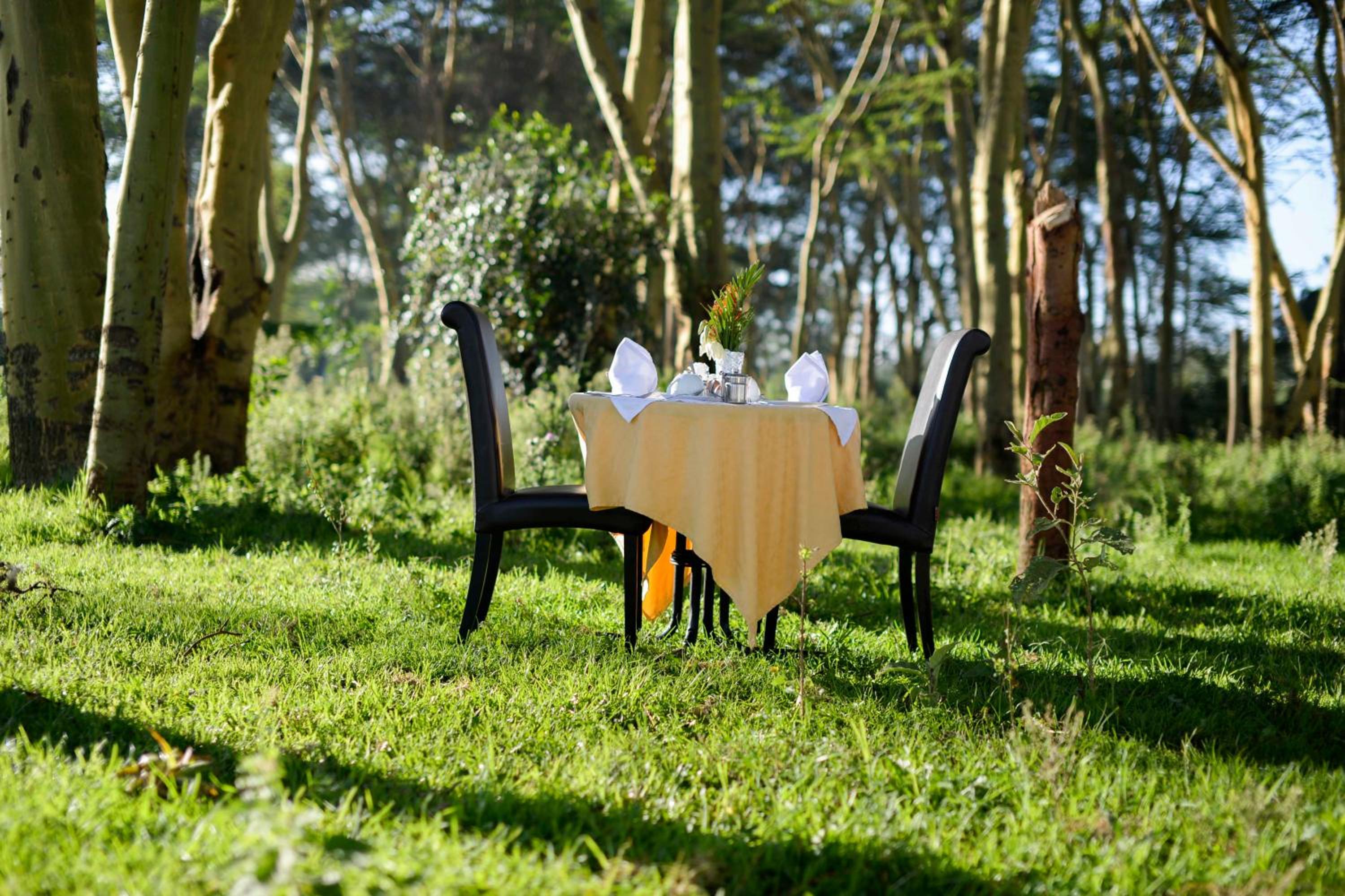 outdoor BBQ area