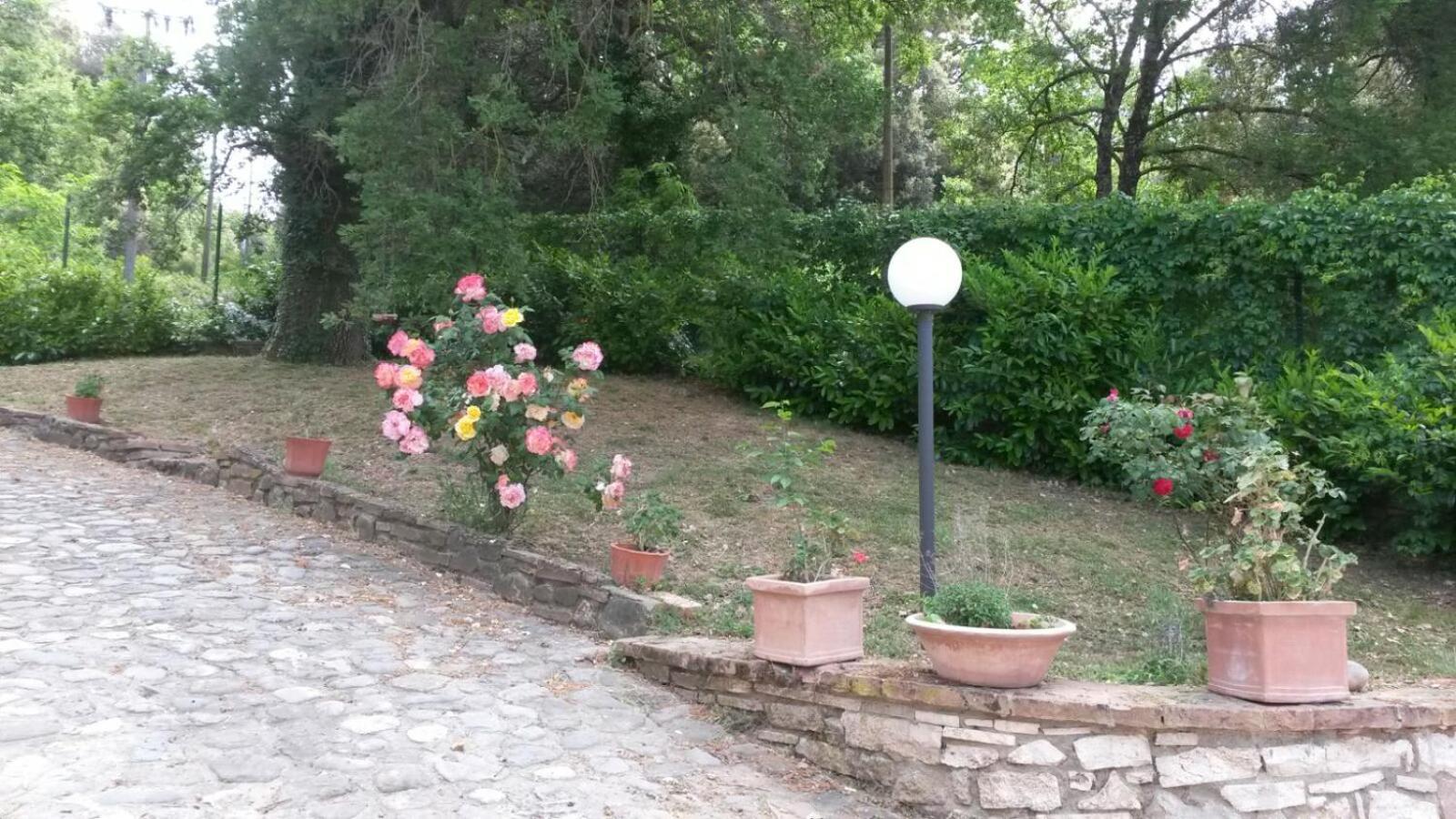 Photo 20