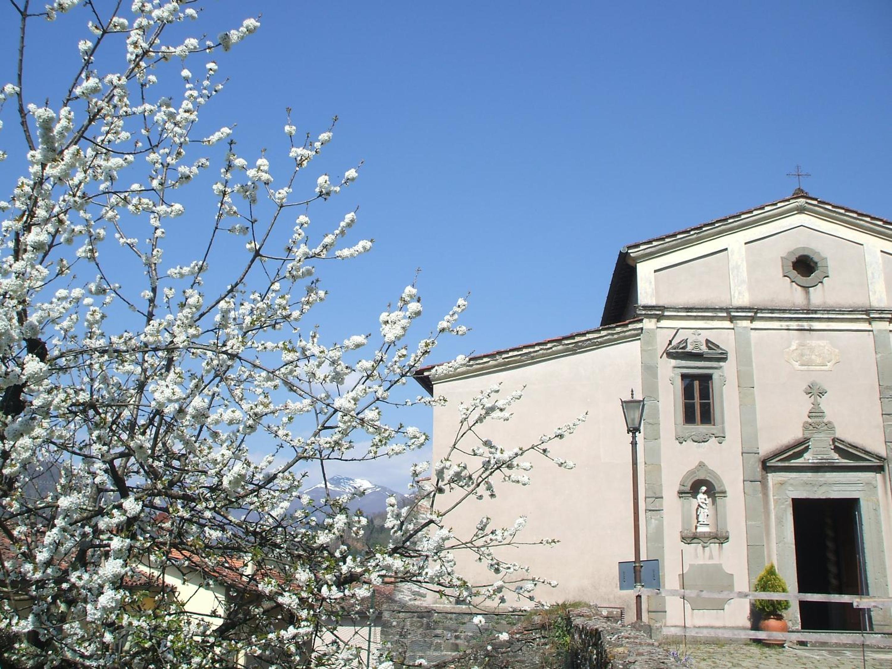 Photo 26
