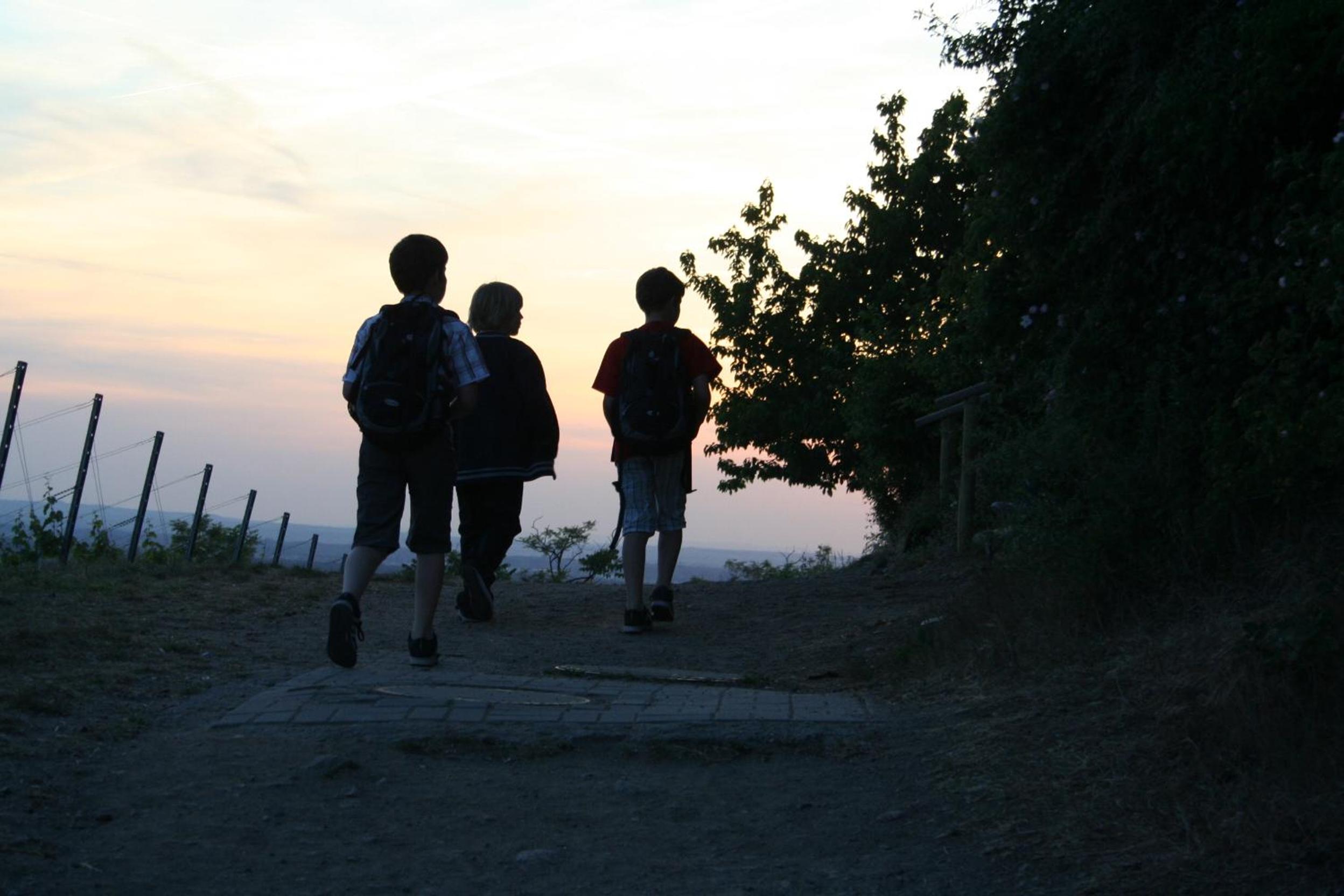 Photo 19