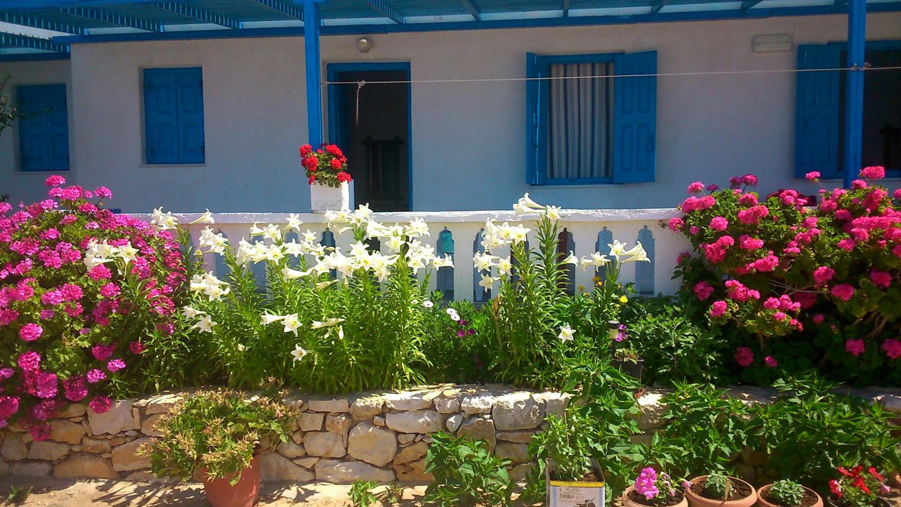 Iliovasilema VILLAGE