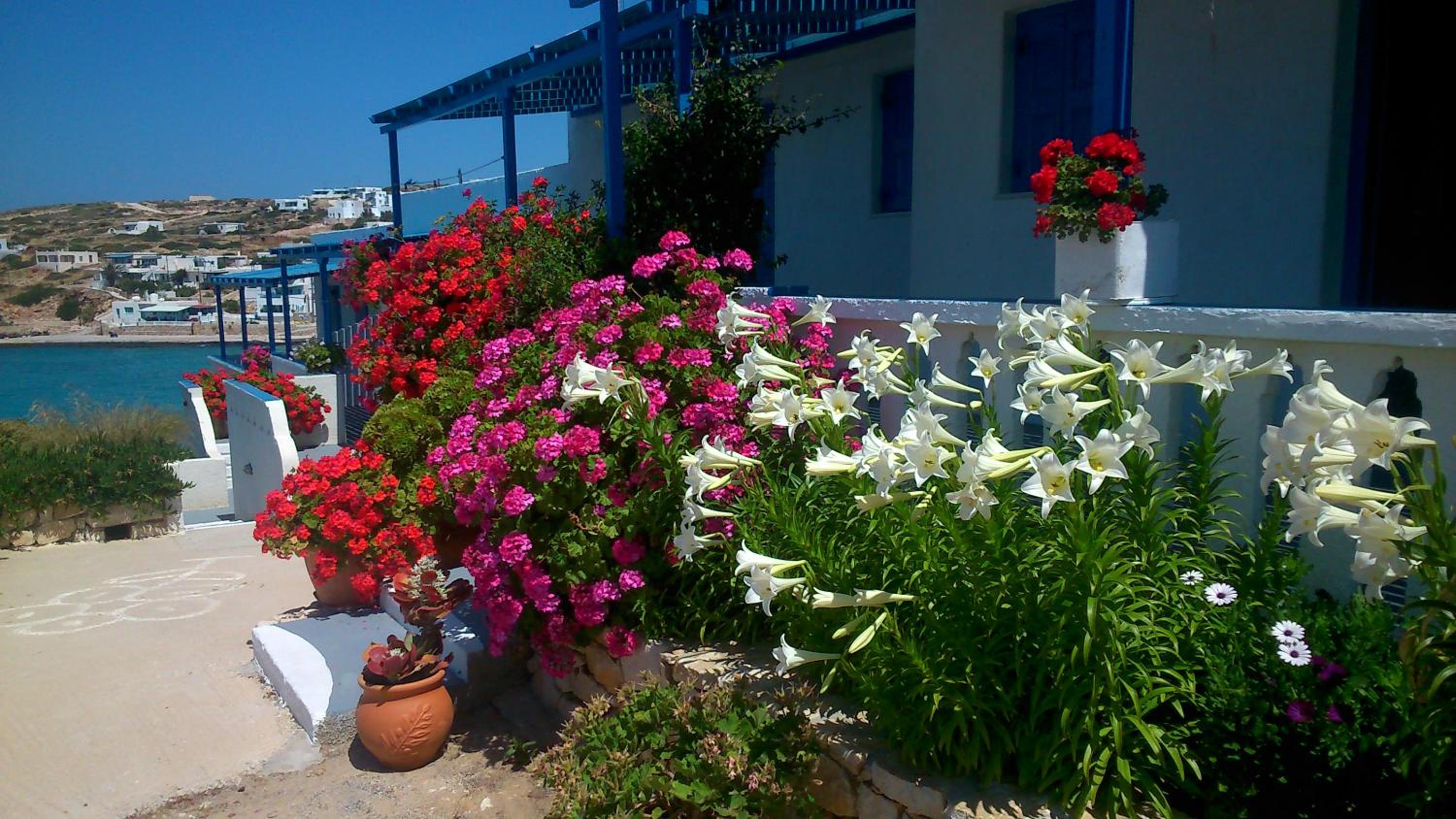 Iliovasilema VILLAGE