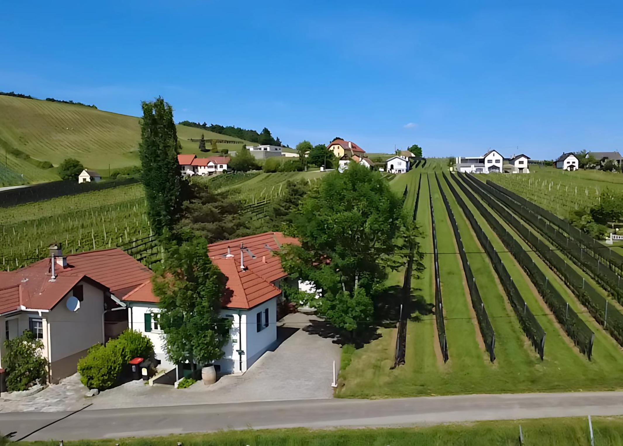 Kellerstöckl - Zur Weinrebe 2
