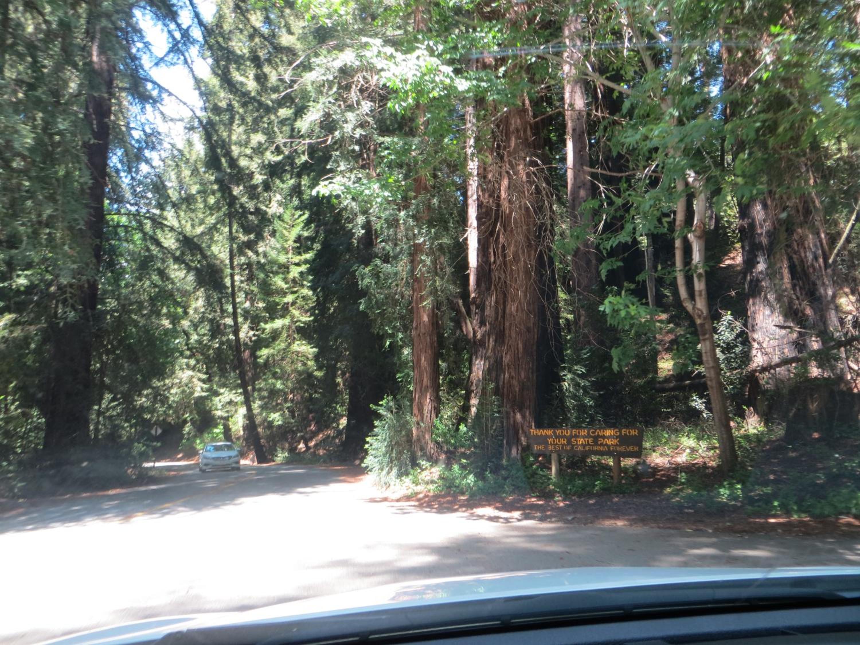 Big Sur Lodge