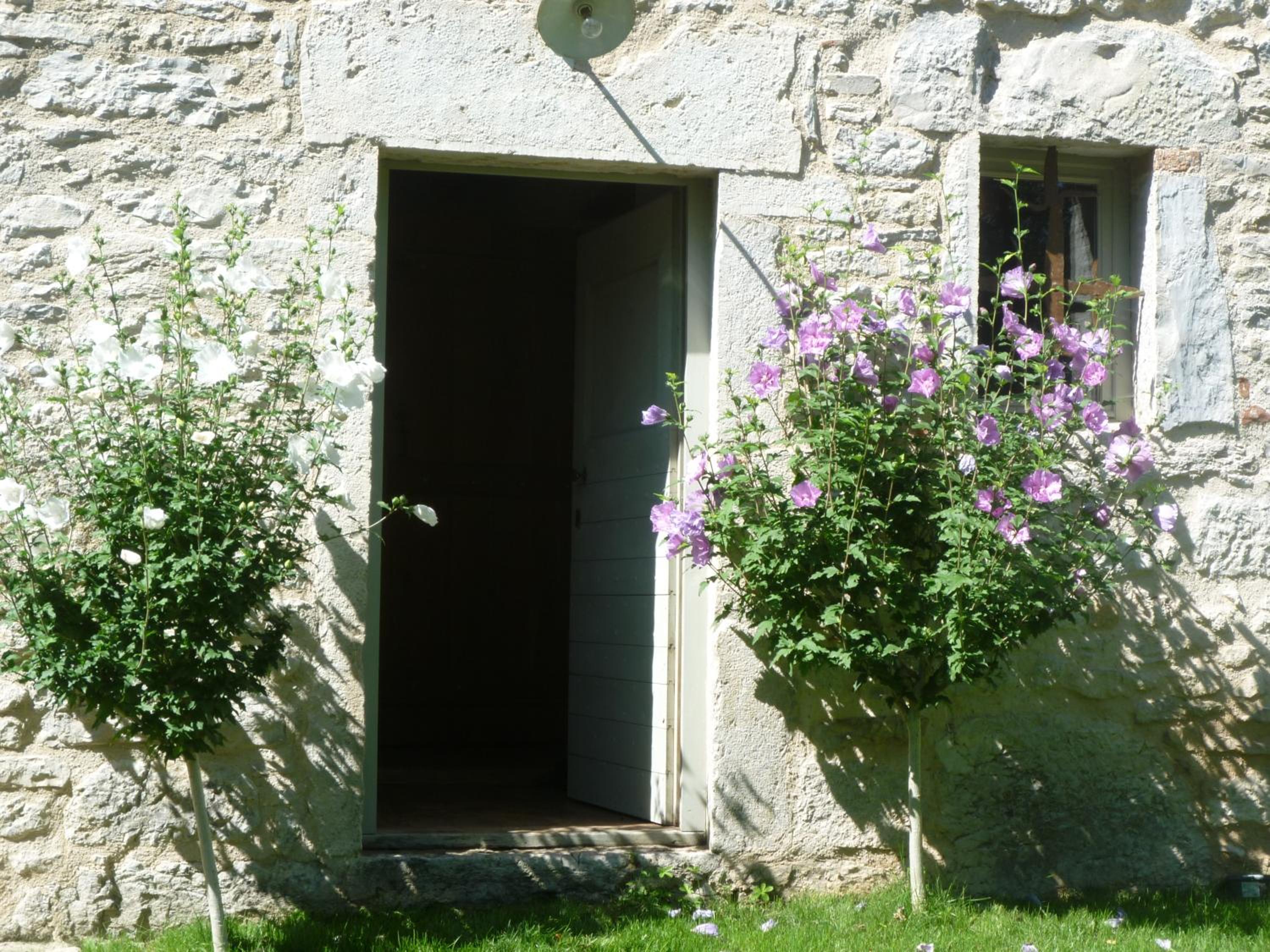 Photo 15