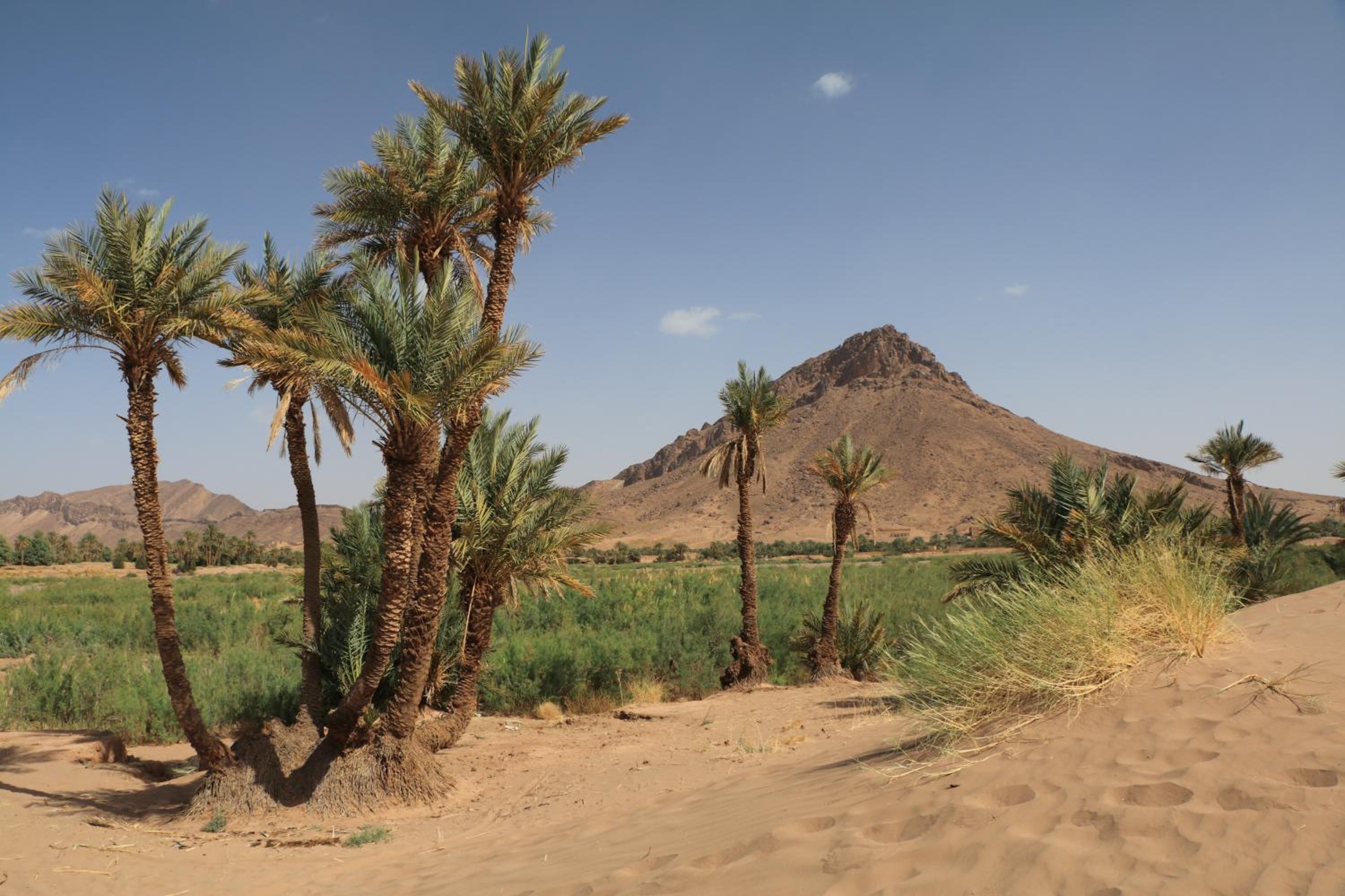 Dar Pienatcha, photo 24