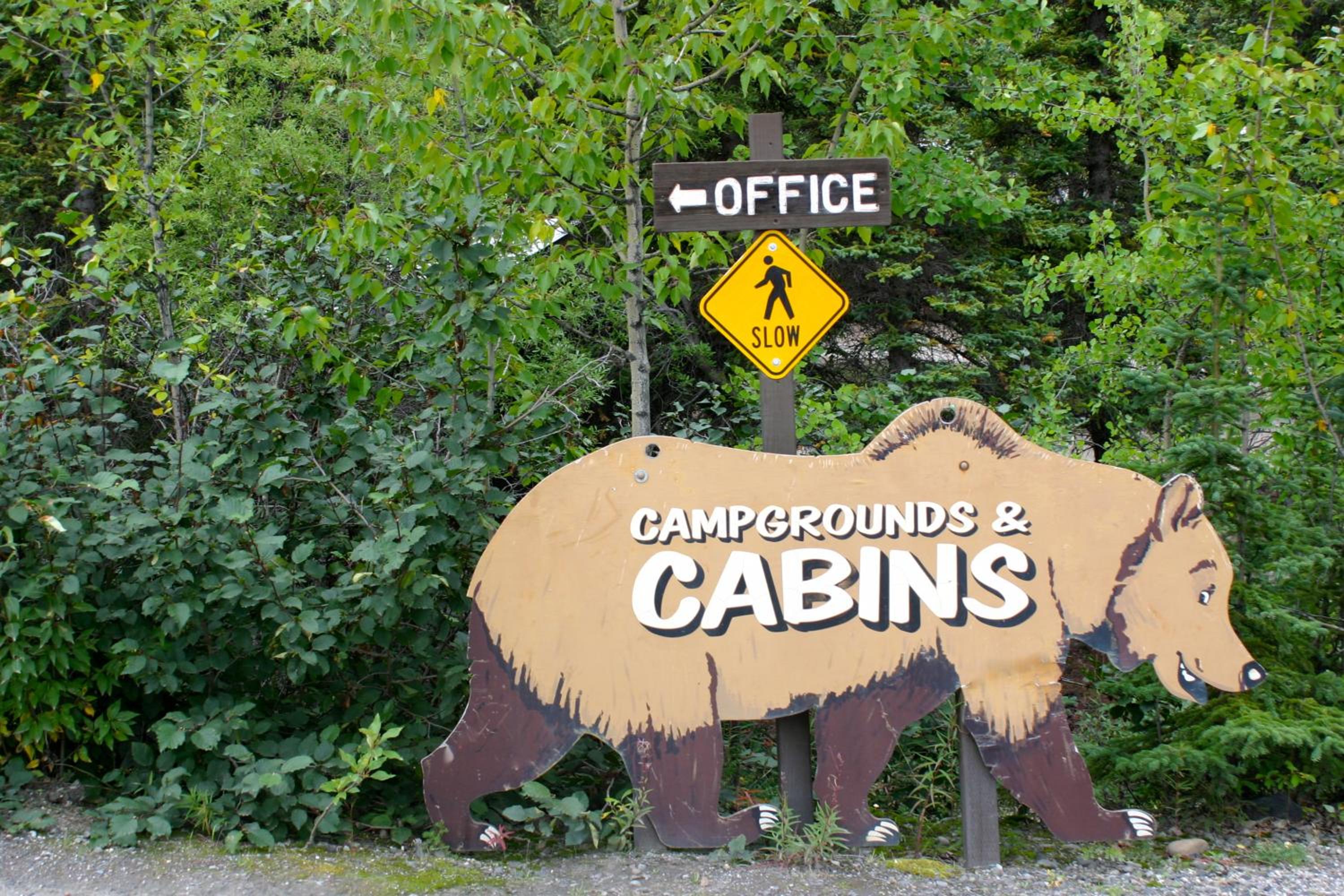 Denali Grizzly Bear Resort
