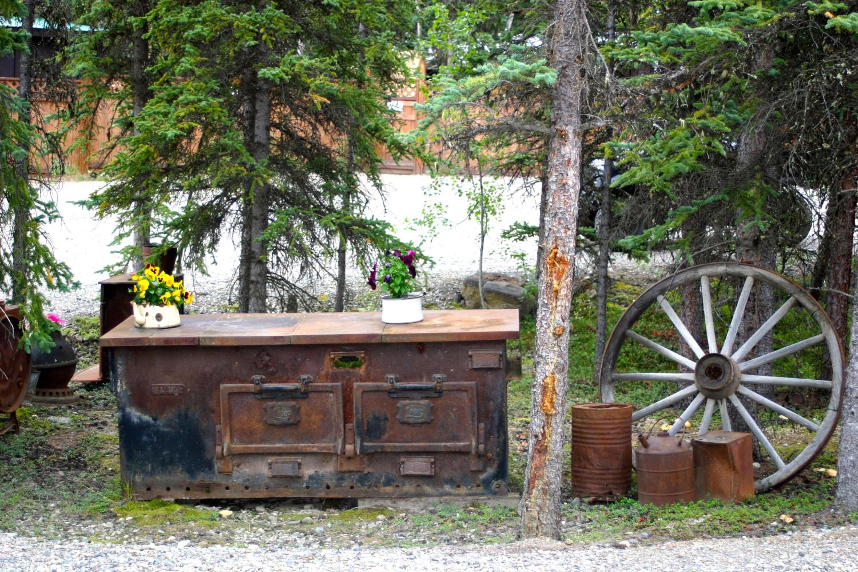 Denali Grizzly Bear Resort