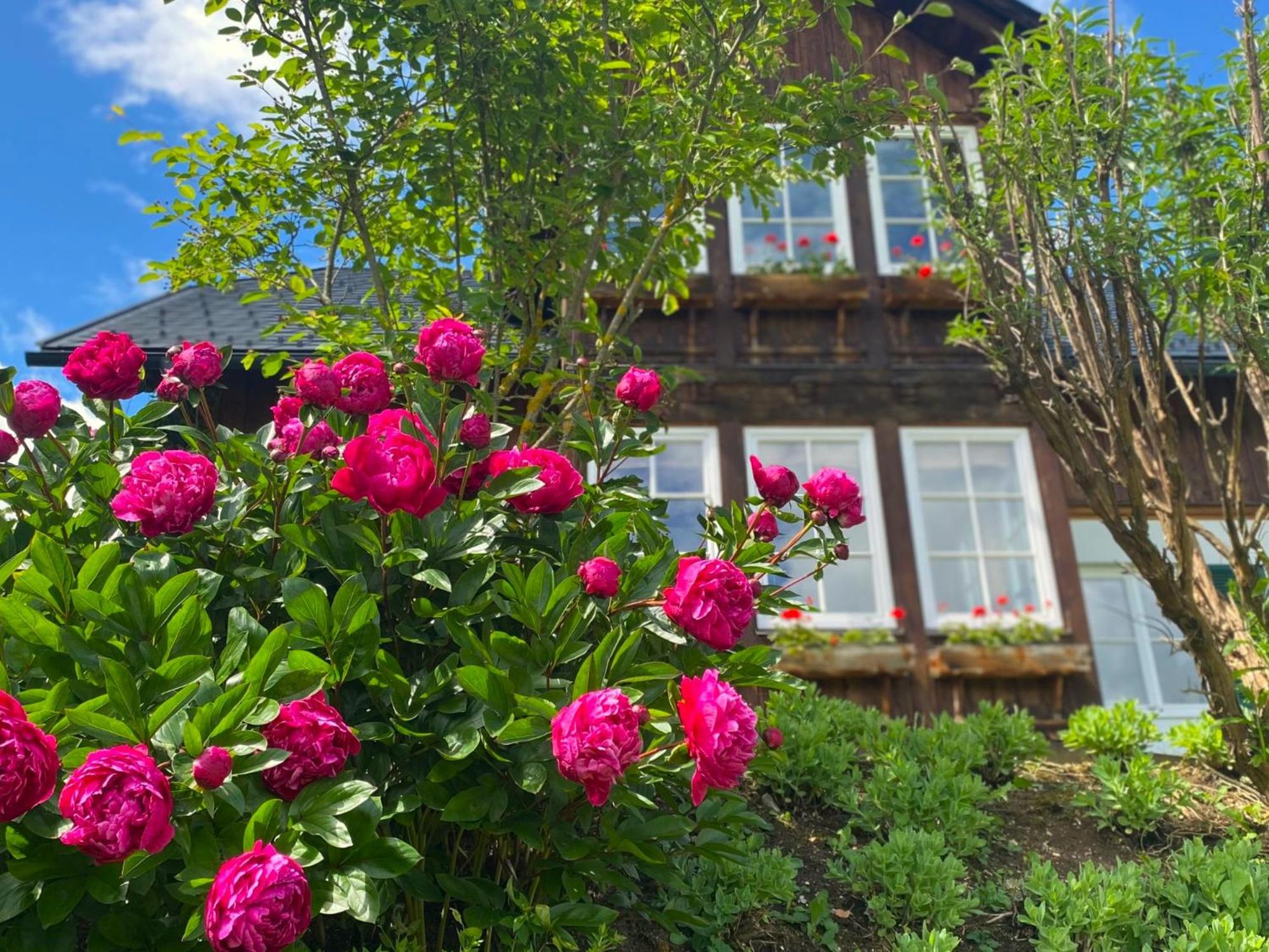 Villa Bellevue Altaussee