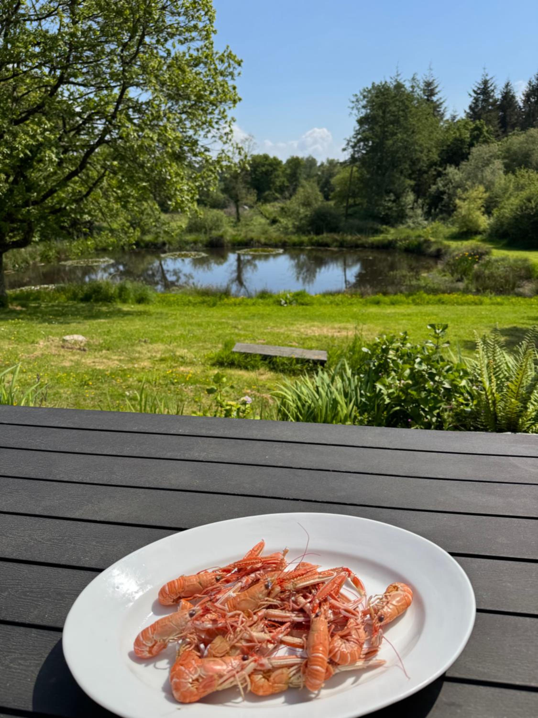 Splendide MANOIR - Proche plages - 4 chambres - 3sdb - 8 pers - WIFI